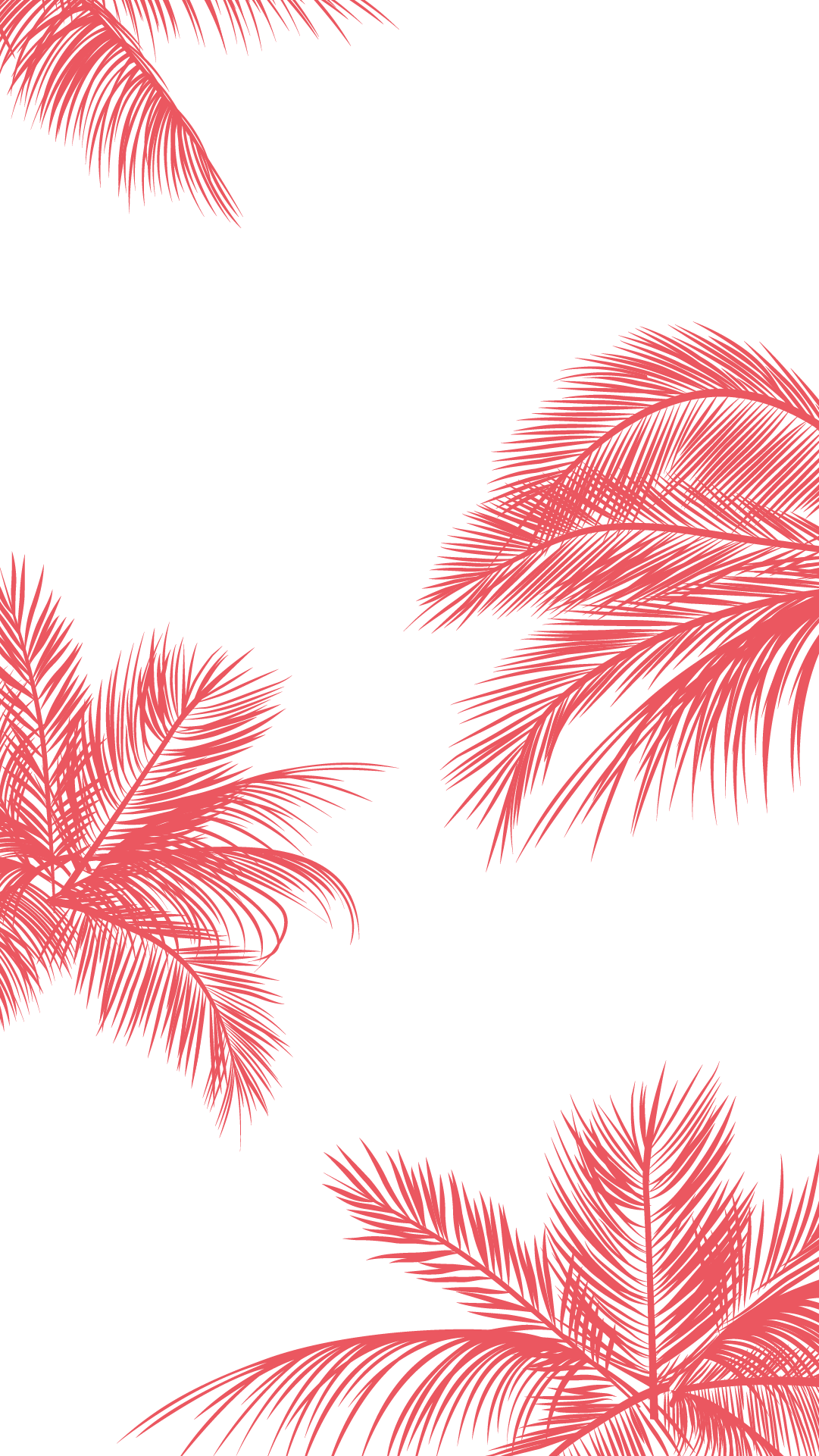 Pink Palm Leaf Wallpapers Top Free Pink Palm Leaf Backgrounds