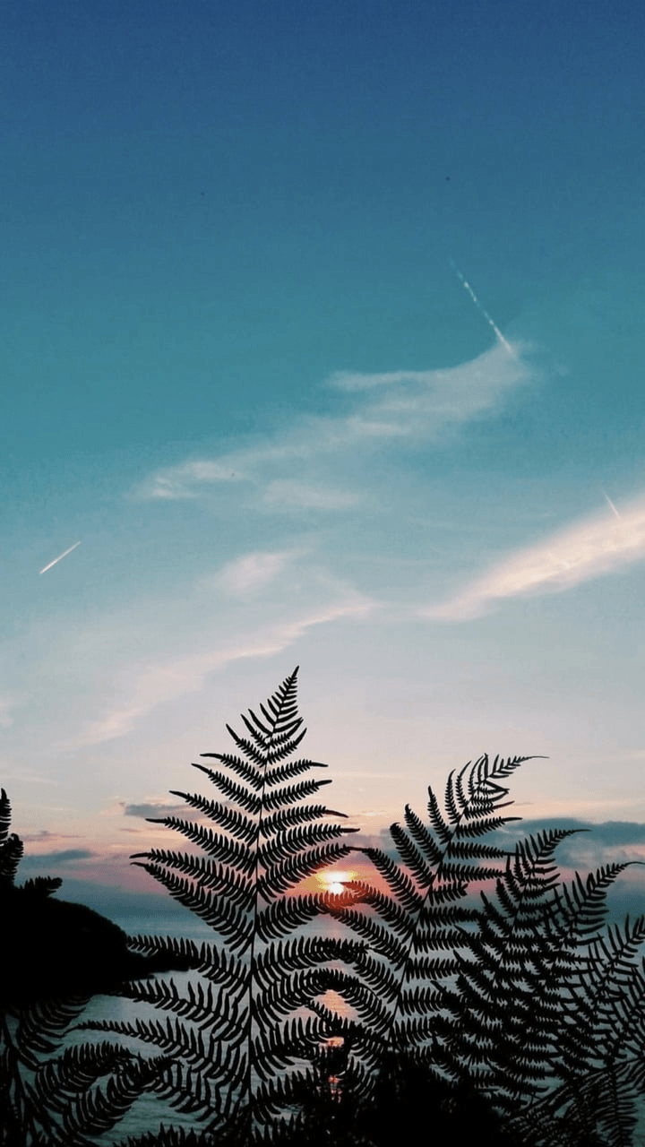Aesthetic Nature Tumblr Wallpapers Top Free Aesthetic Nature Tumblr