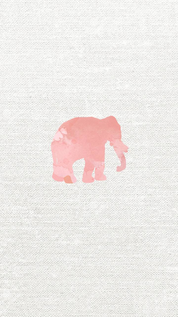 Pink Elephant Wallpapers Top Free Pink Elephant Backgrounds