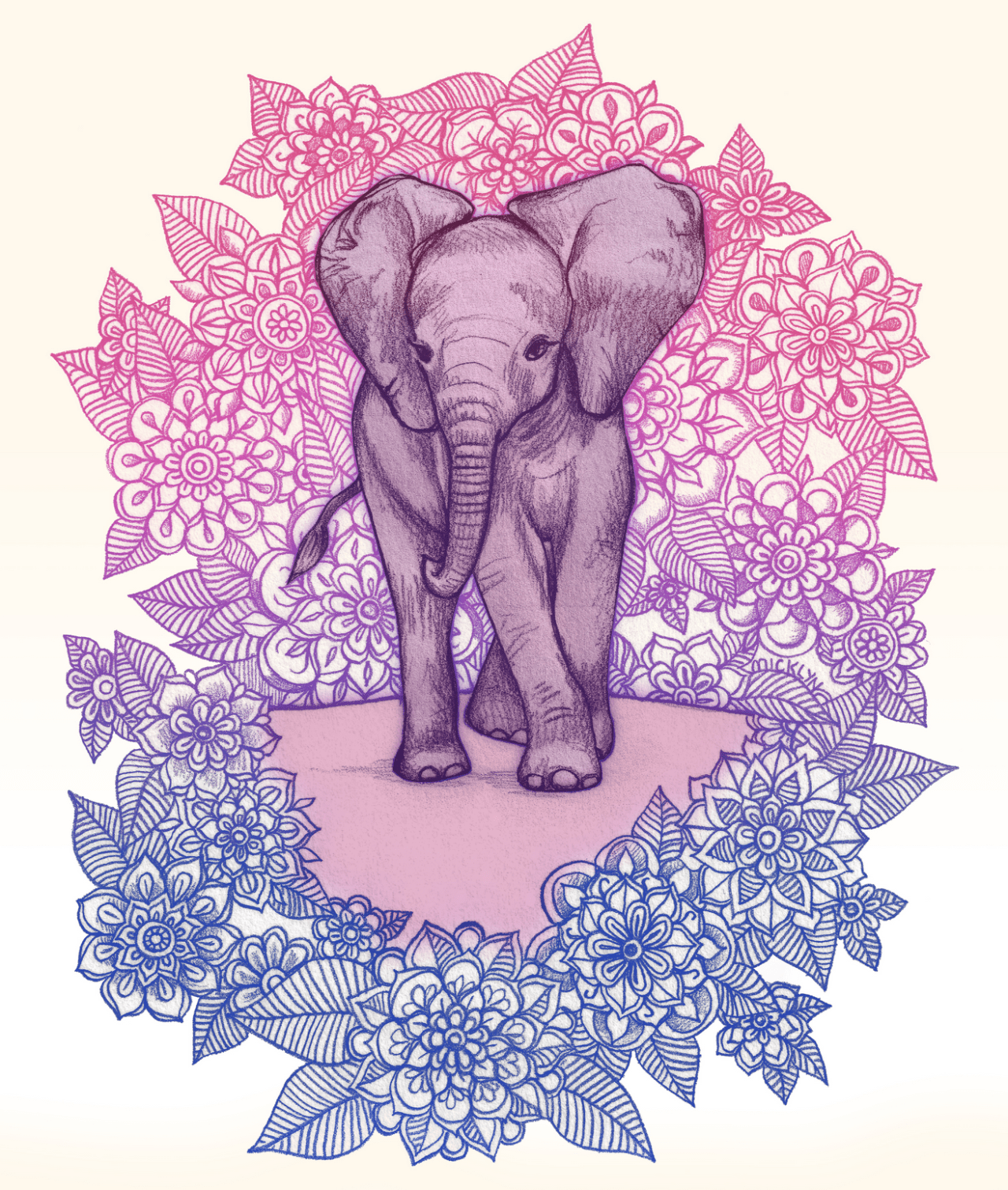 Pink Elephant Wallpapers Top Free Pink Elephant Backgrounds