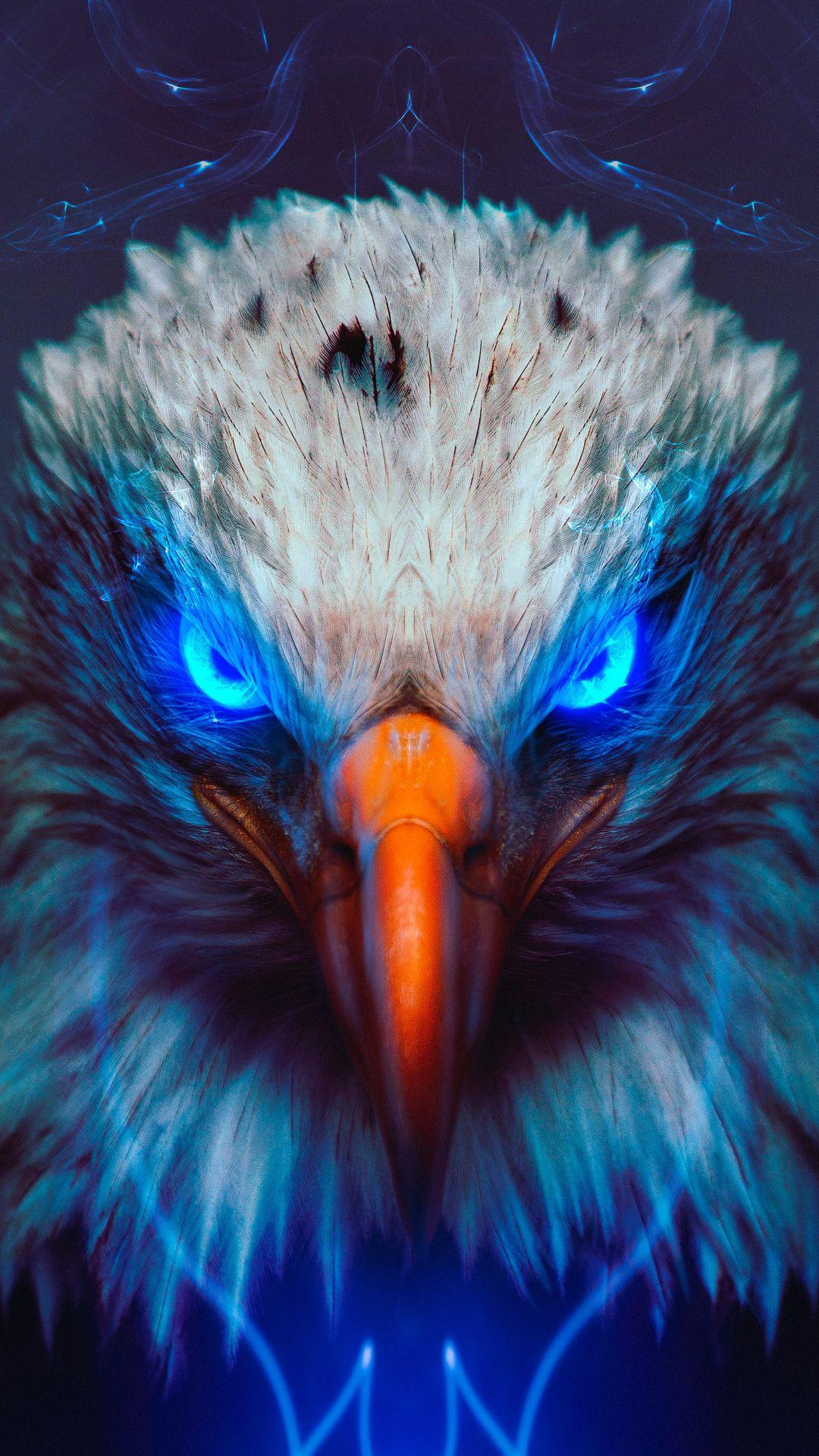 Blue Eagle Wallpapers Top Free Blue Eagle Backgrounds WallpaperAccess