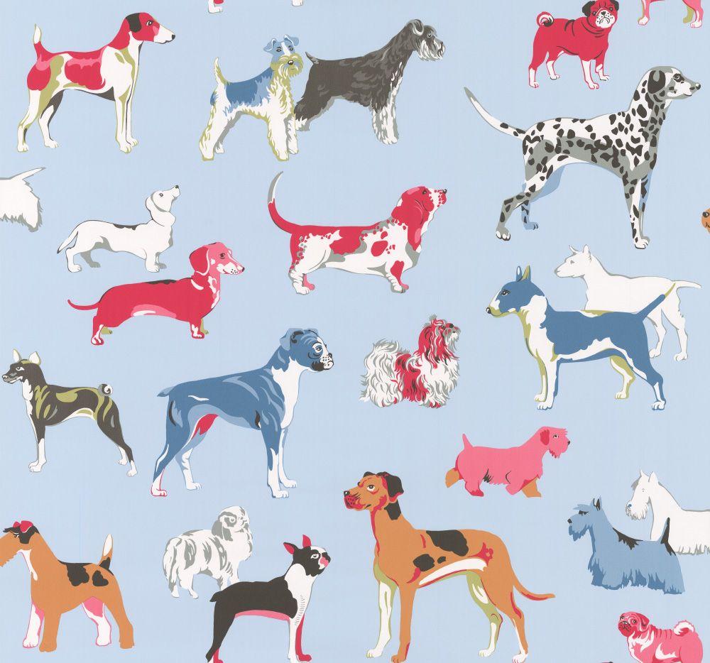 Blue Dog Wallpapers Top Free Blue Dog Backgrounds WallpaperAccess