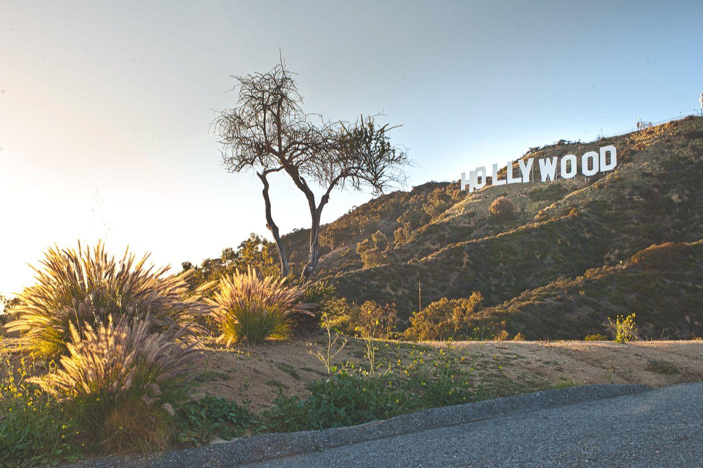 Hollywood Hills Wallpapers Top Free Hollywood Hills Backgrounds