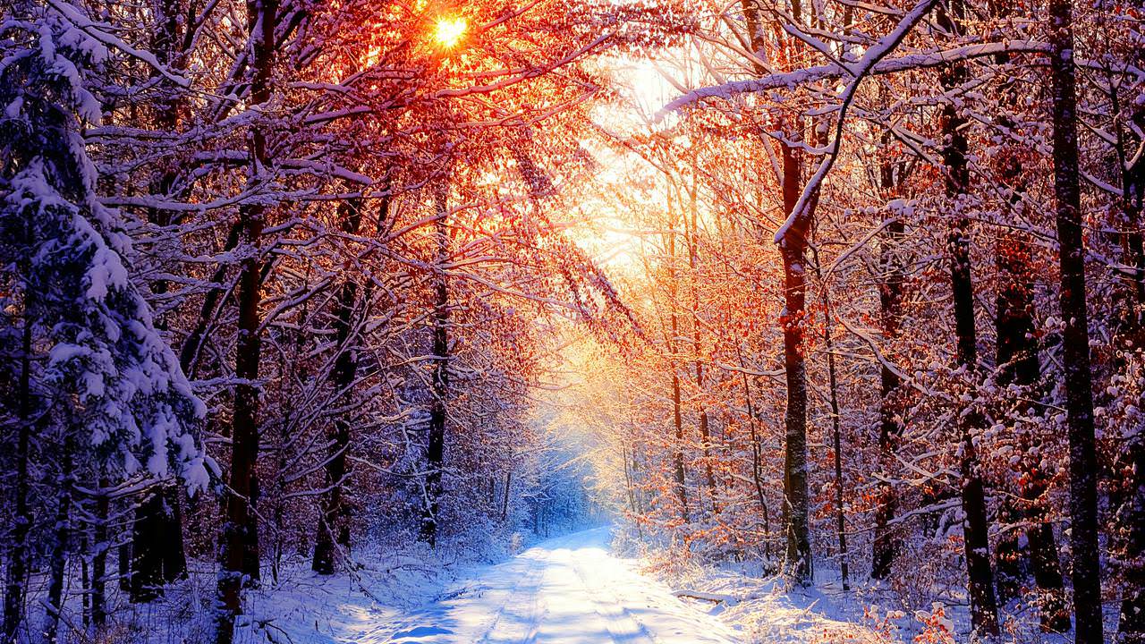 Fall Winter Wallpapers Top Free Fall Winter Backgrounds WallpaperAccess