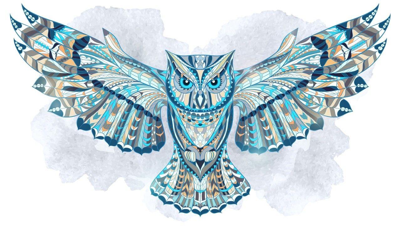 Blue Owl Wallpapers Top Free Blue Owl Backgrounds WallpaperAccess