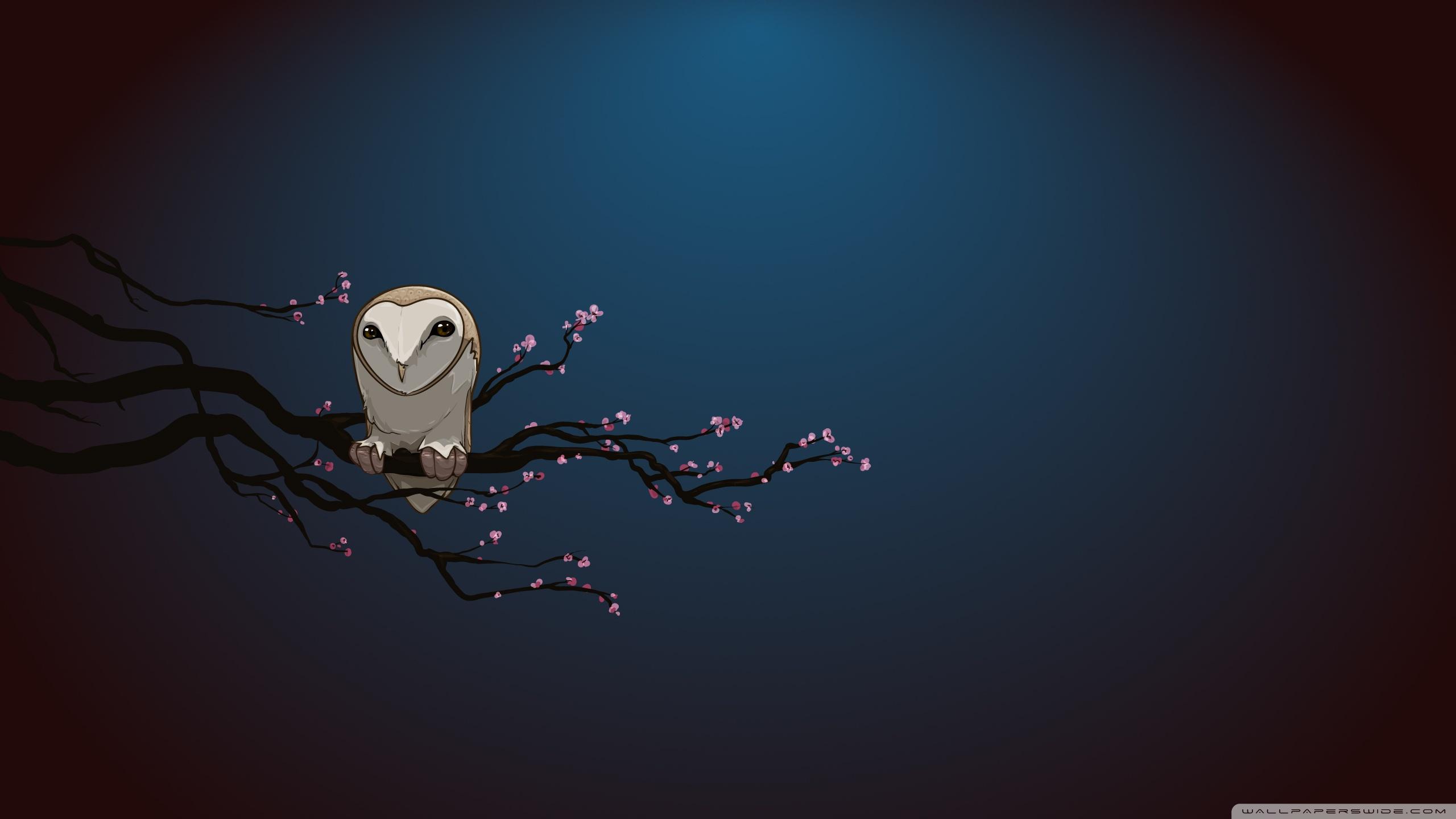 Blue Owl Wallpapers Top Free Blue Owl Backgrounds WallpaperAccess