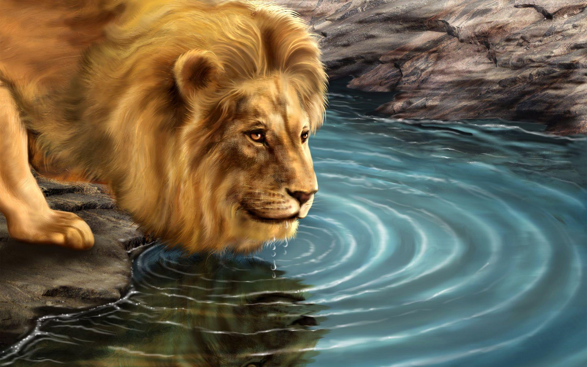 3D Lion Wallpapers Top Free 3D Lion Backgrounds WallpaperAccess