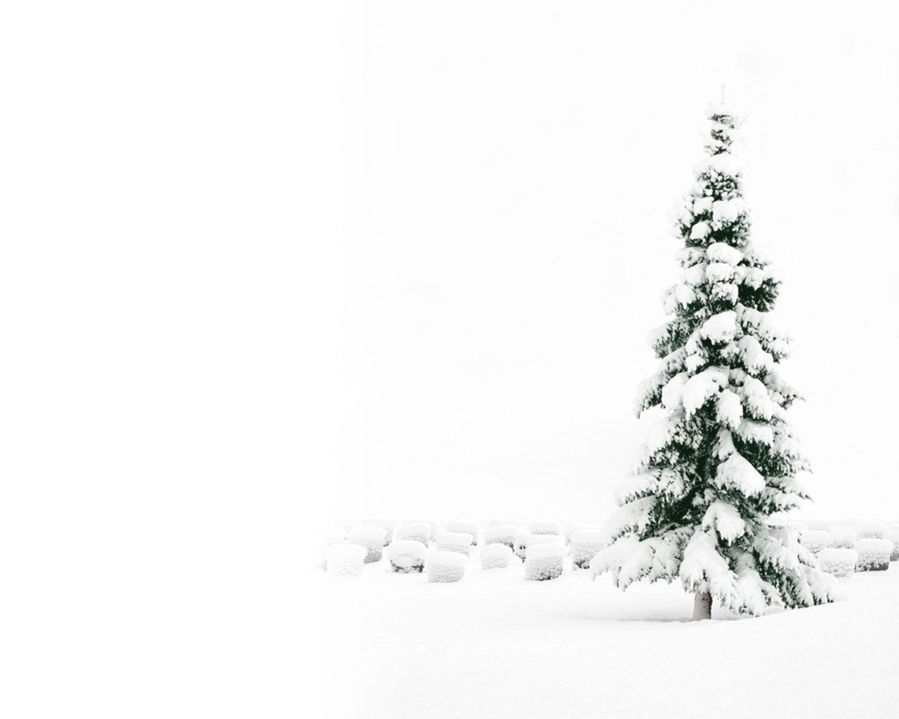White Christmas Holiday Desktop Wallpapers Top Free White Christmas