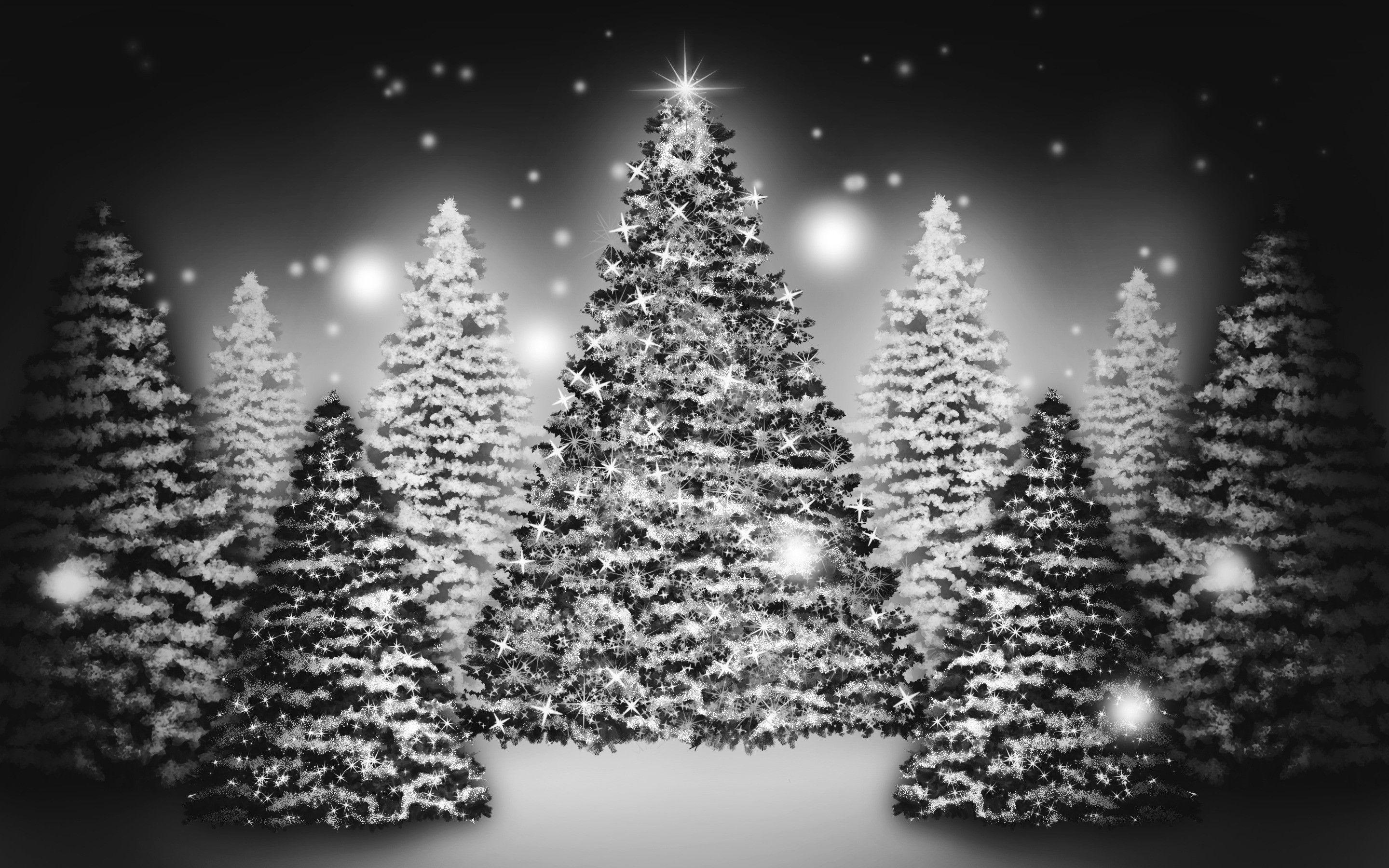 White Christmas Holiday Desktop Wallpapers Top Free White Christmas Holiday Desktop