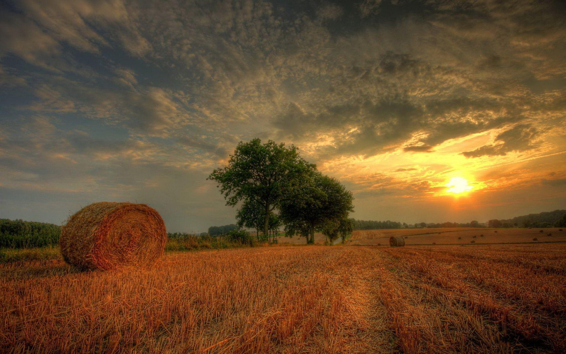 Hay Field Wallpapers Top Free Hay Field Backgrounds WallpaperAccess