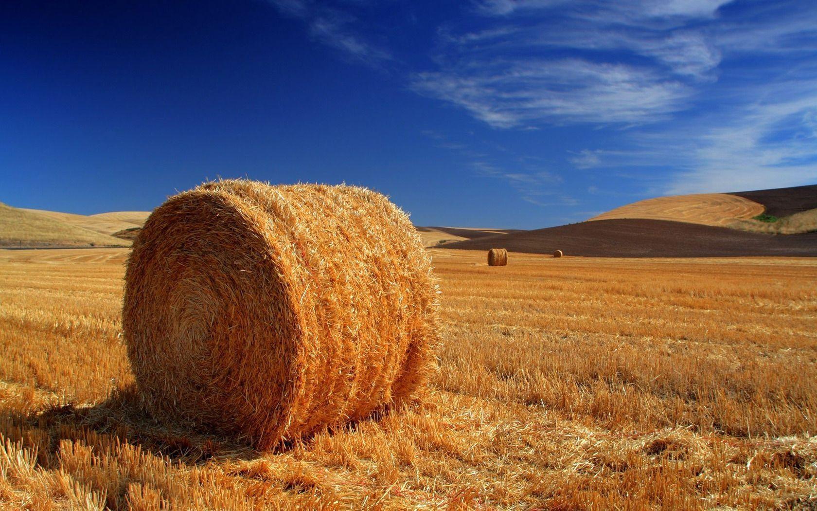Hay Field Wallpapers Top Free Hay Field Backgrounds WallpaperAccess