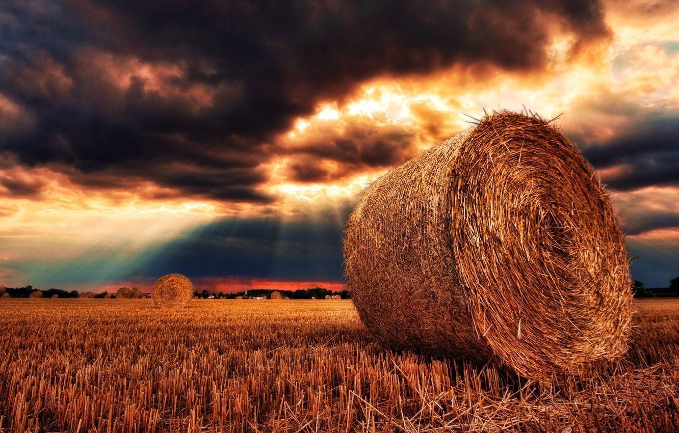 Hay Field Wallpapers Top Free Hay Field Backgrounds WallpaperAccess