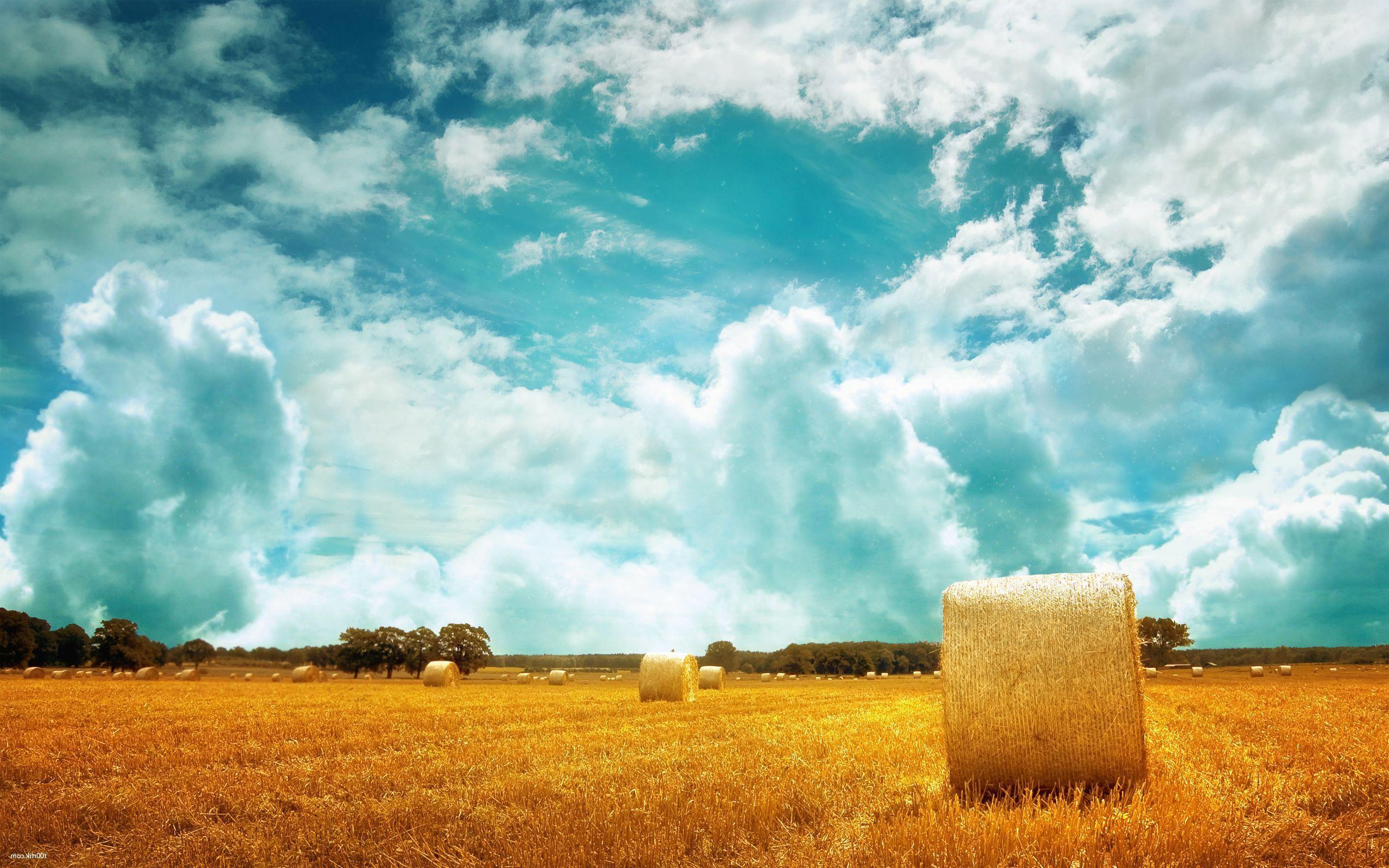 Hay Field Wallpapers Top Free Hay Field Backgrounds WallpaperAccess