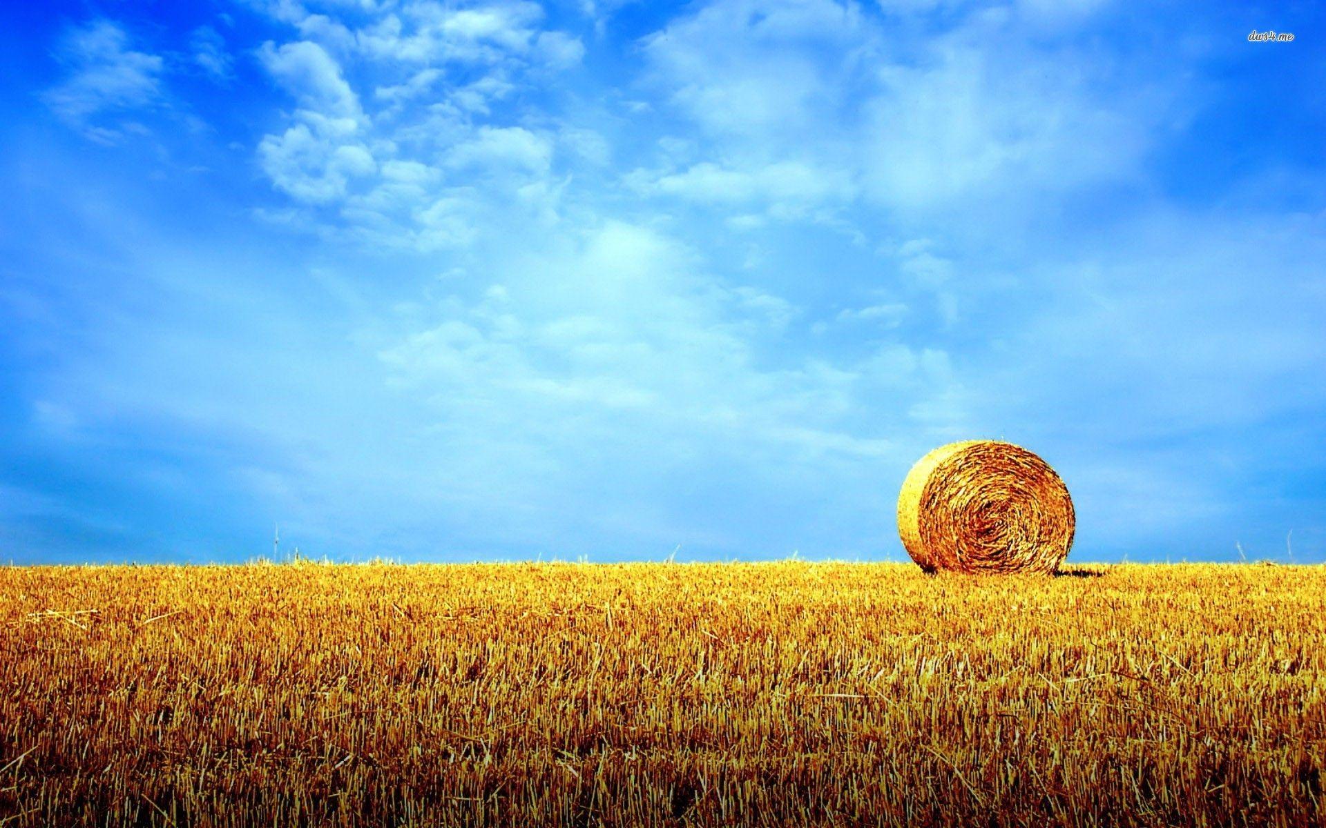 Hay Field Wallpapers Top Free Hay Field Backgrounds WallpaperAccess