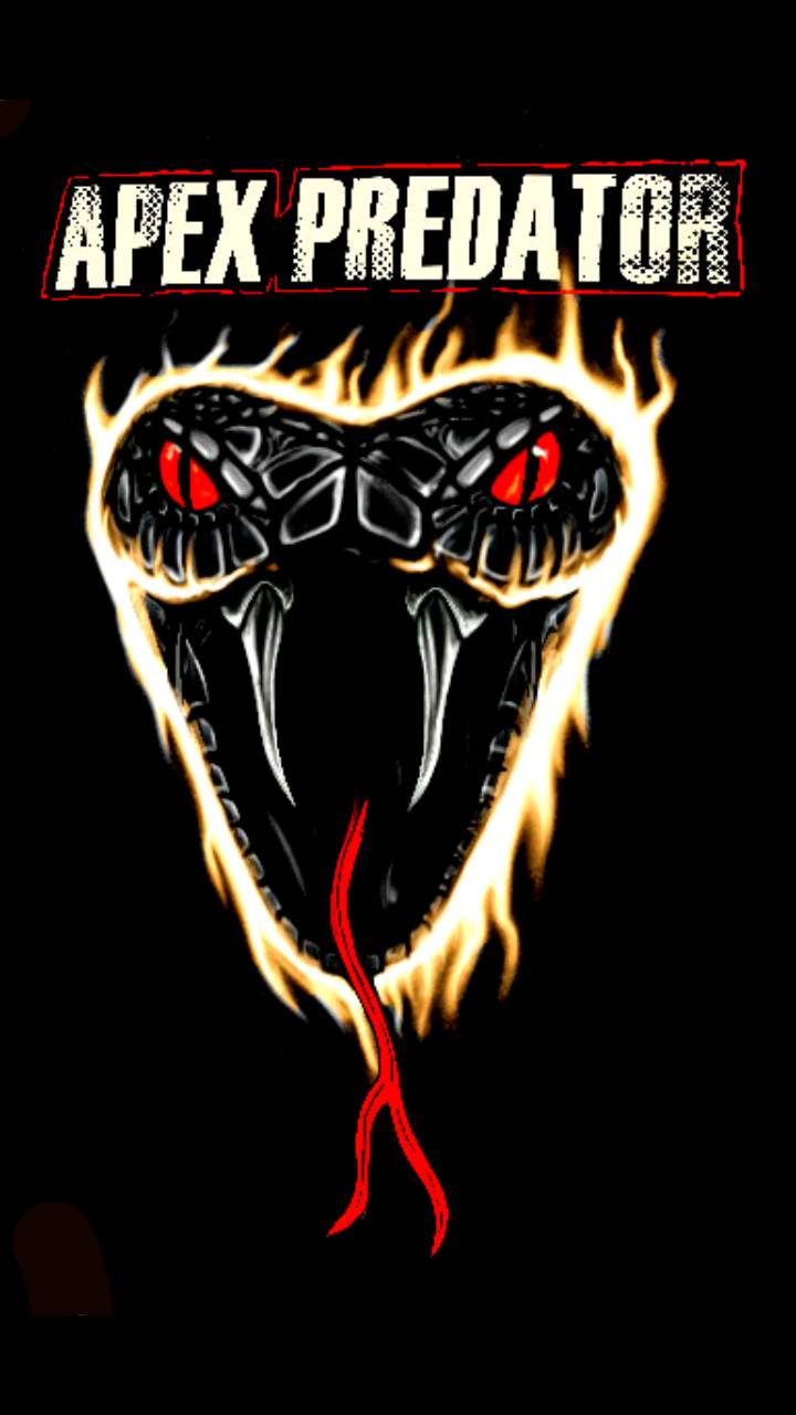 Apex Predator Wallpapers Top Free Apex Predator Backgrounds