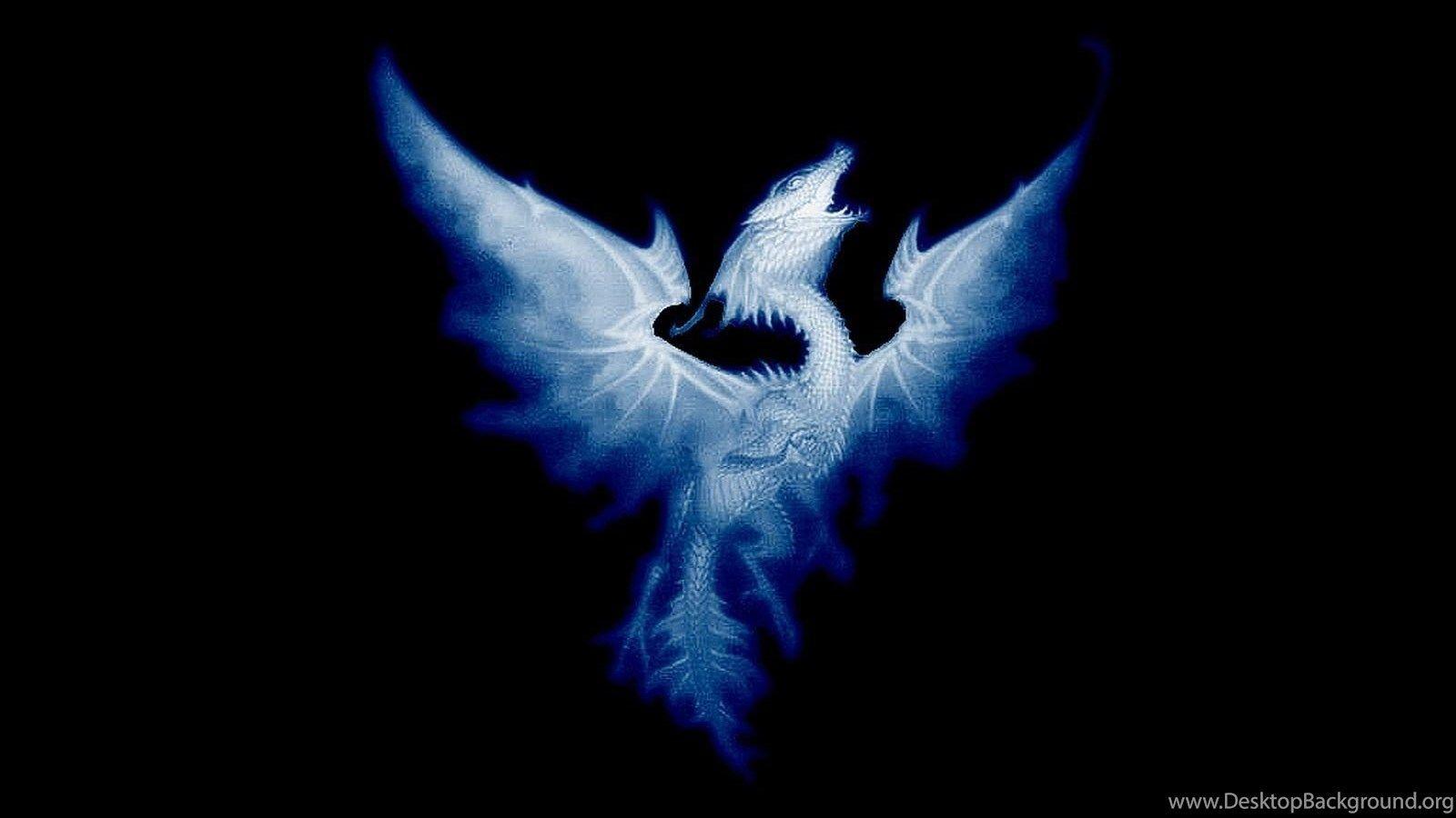 Black and Blue Dragon Wallpapers Top Free Black and Blue Dragon