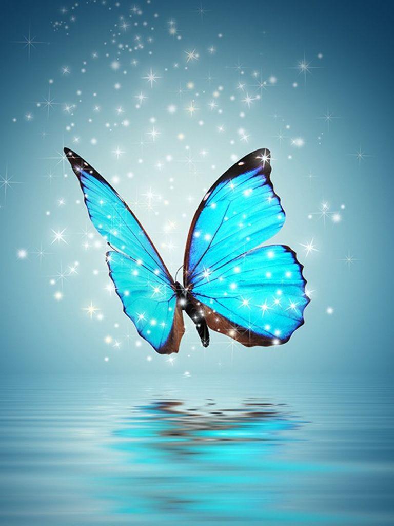 Cool Animal Galaxy Wallpapers Top Free Cool Animal Galaxy Backgrounds