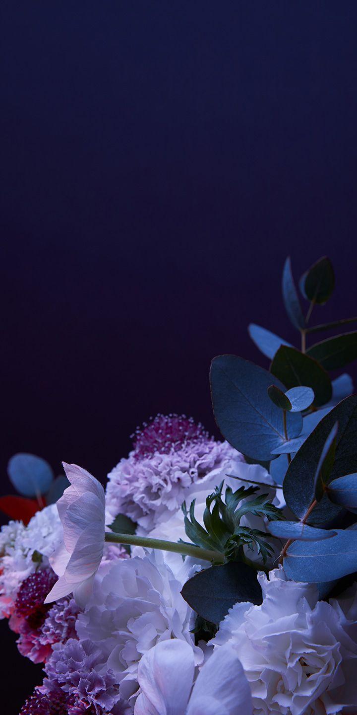 LG G8X Wallpapers Top Free LG G8X Backgrounds WallpaperAccess