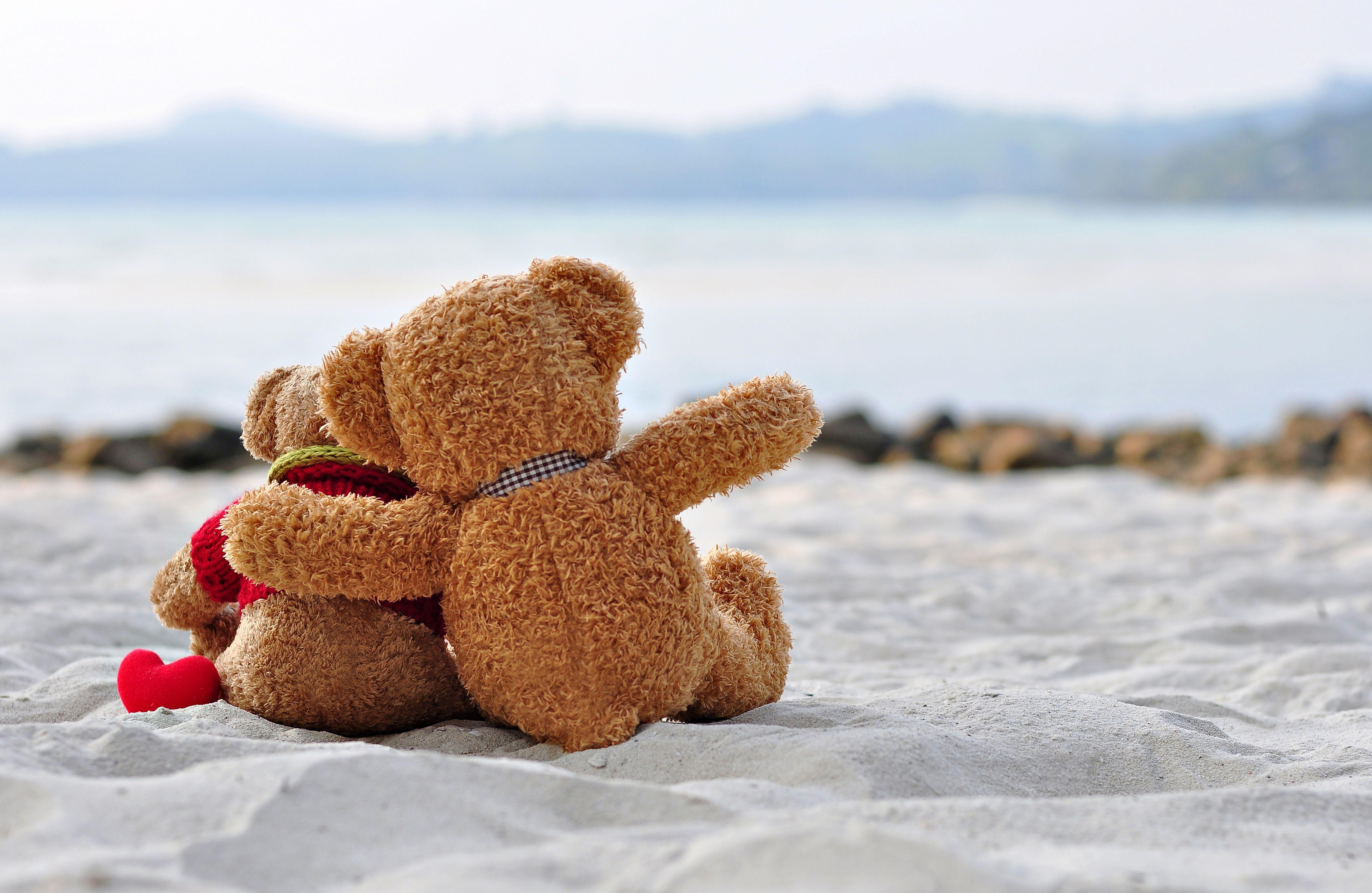 Stuffed Animals Wallpapers Top Free Stuffed Animals Backgrounds