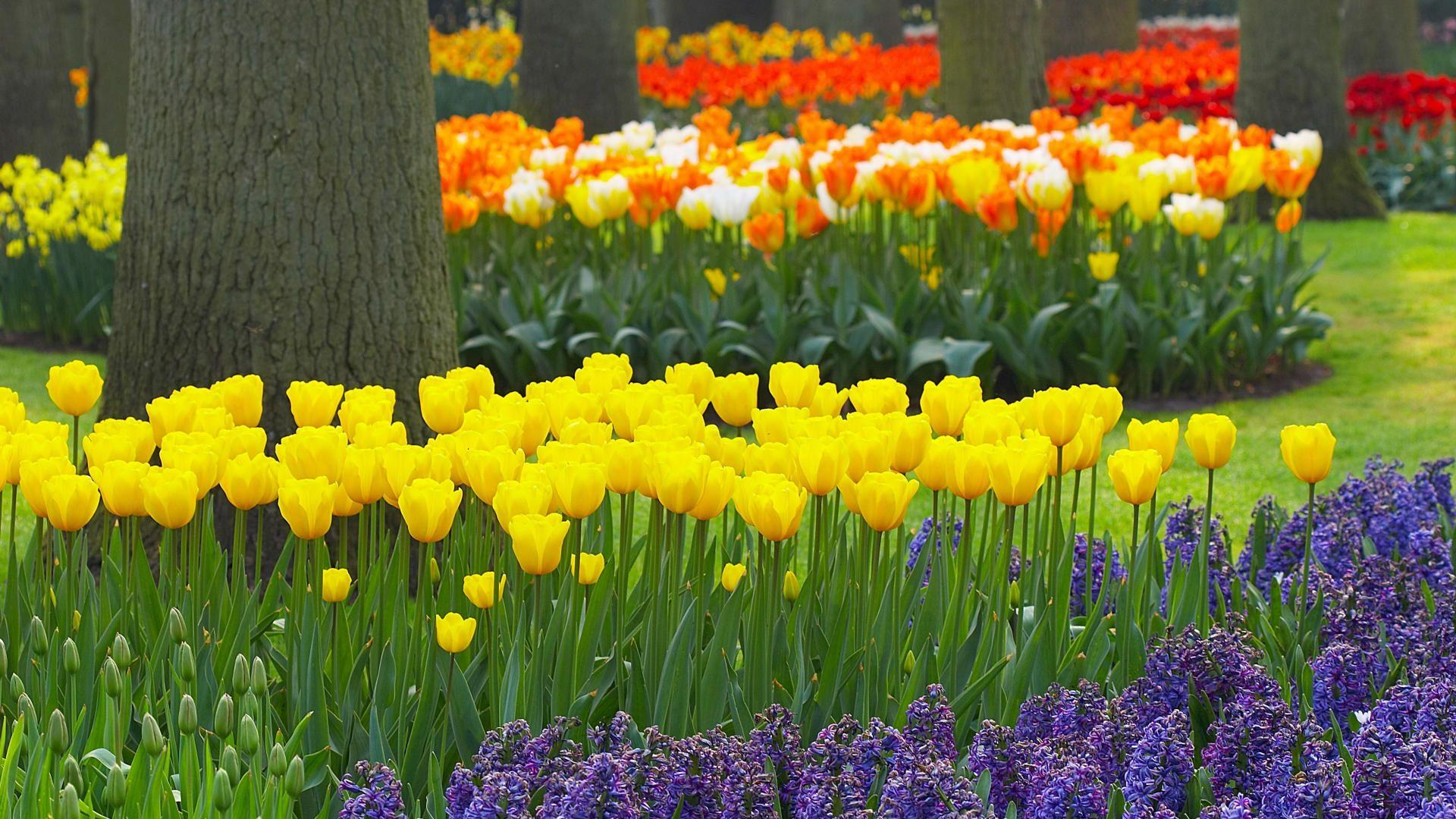 Europe Spring Wallpapers Top Free Europe Spring Backgrounds