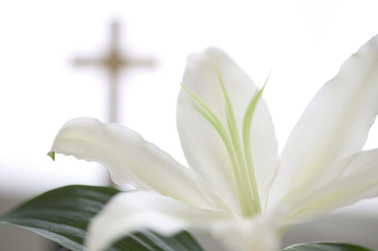 Funeral Flowers Wallpapers Top Free Funeral Flowers Backgrounds
