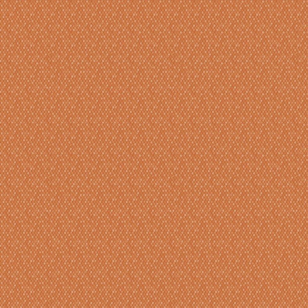 Burnt Orange Wallpapers Top Free Burnt Orange Backgrounds