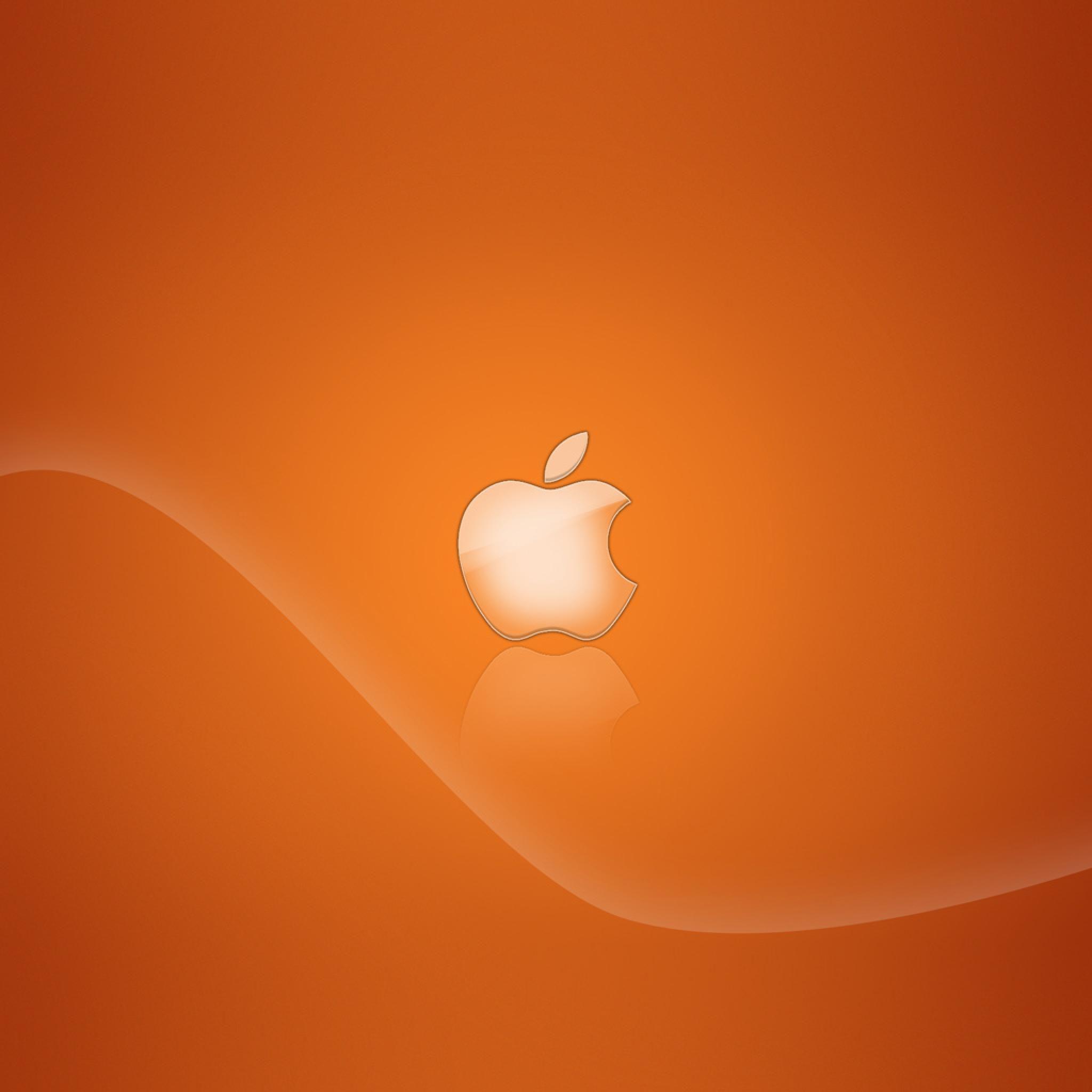 Burnt Orange Wallpapers Top Free Burnt Orange Backgrounds