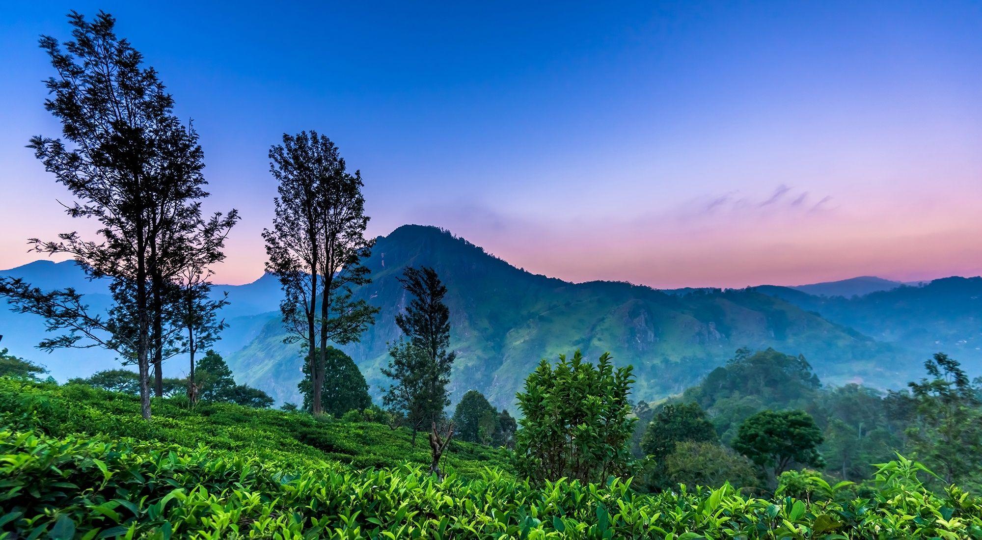 Sri Lanka HD Wallpapers Top Free Sri Lanka HD Backgrounds