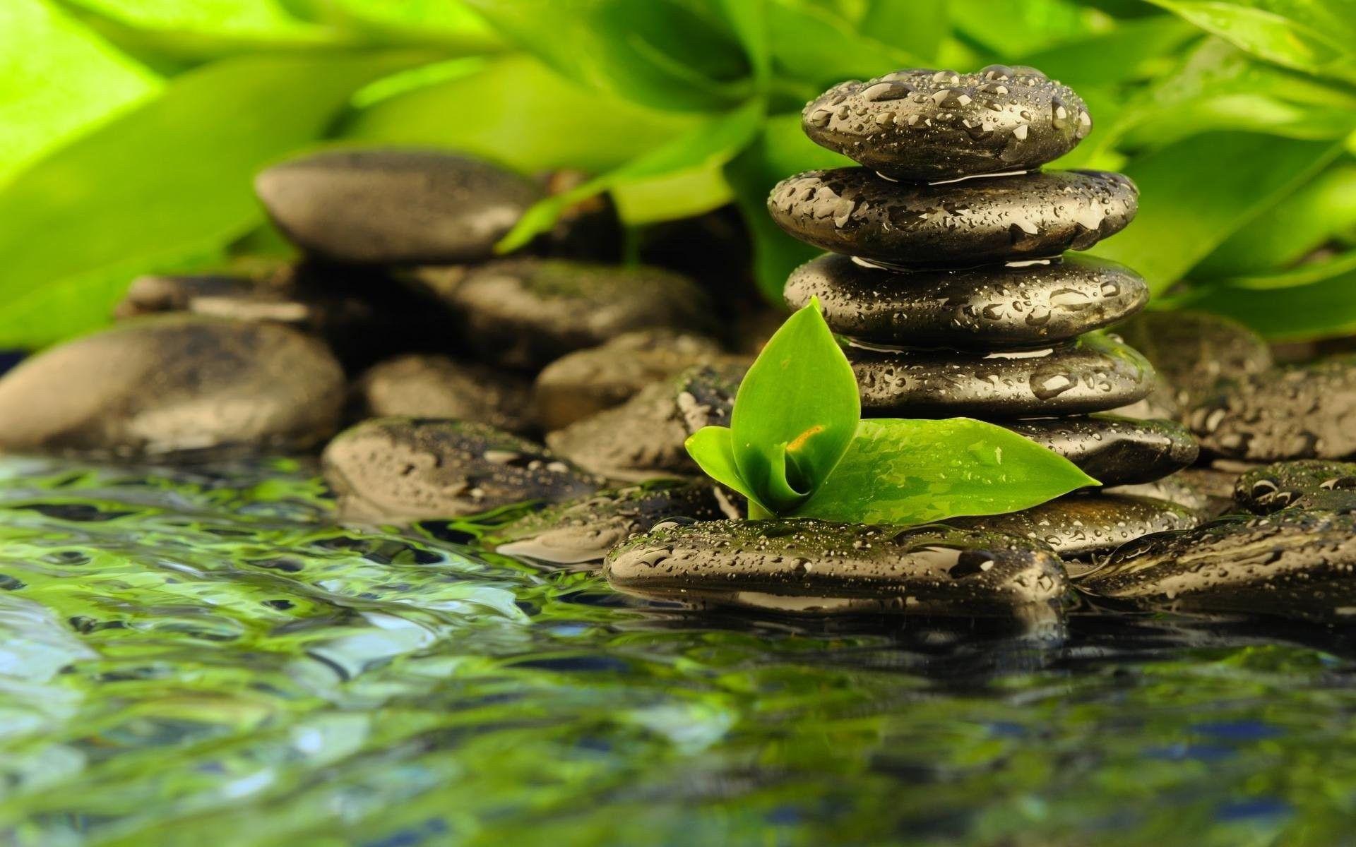 Buddhism Nature Wallpapers Top Free Buddhism Nature Backgrounds