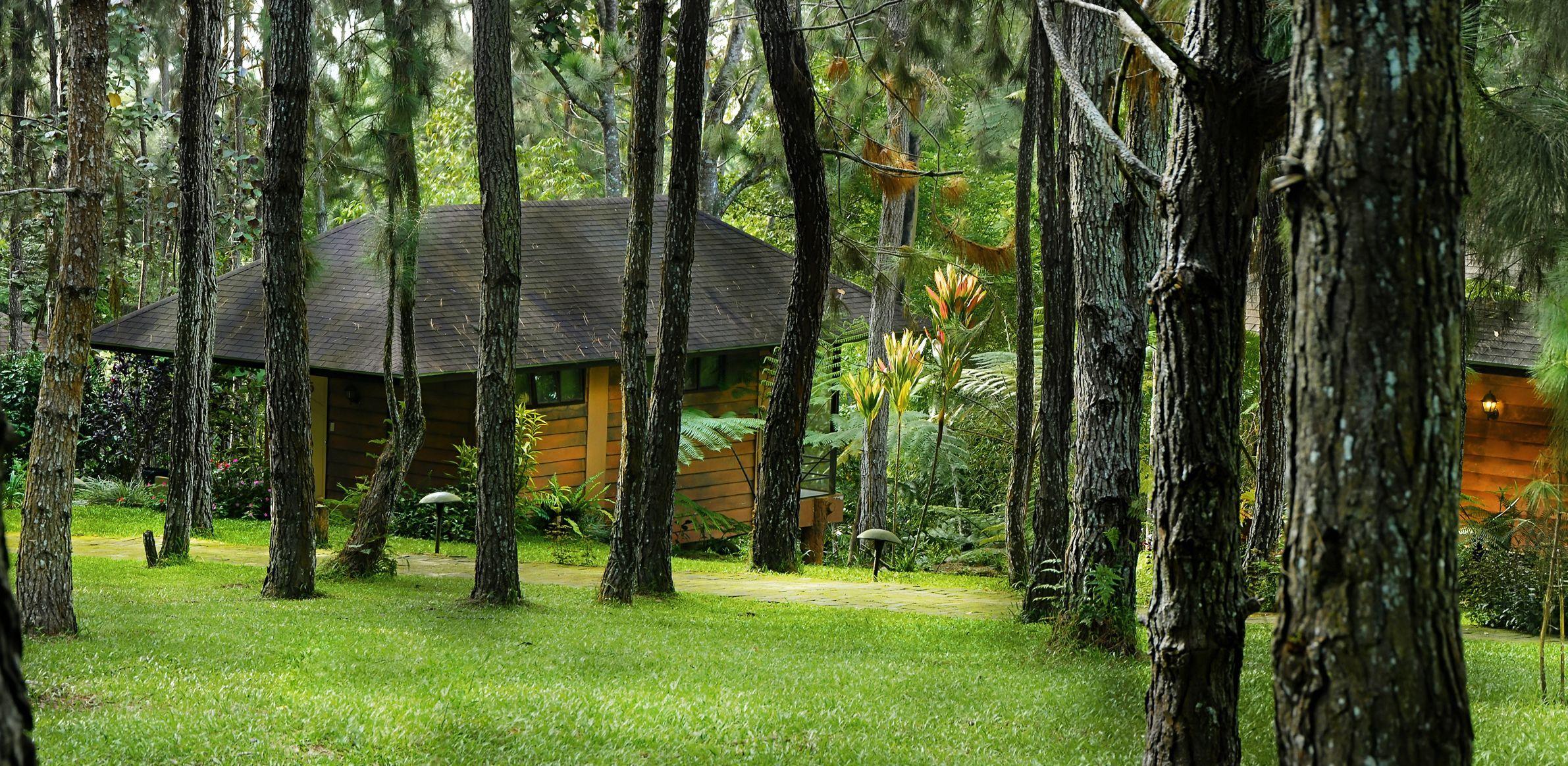 Davao Wallpapers Top Free Davao Backgrounds WallpaperAccess