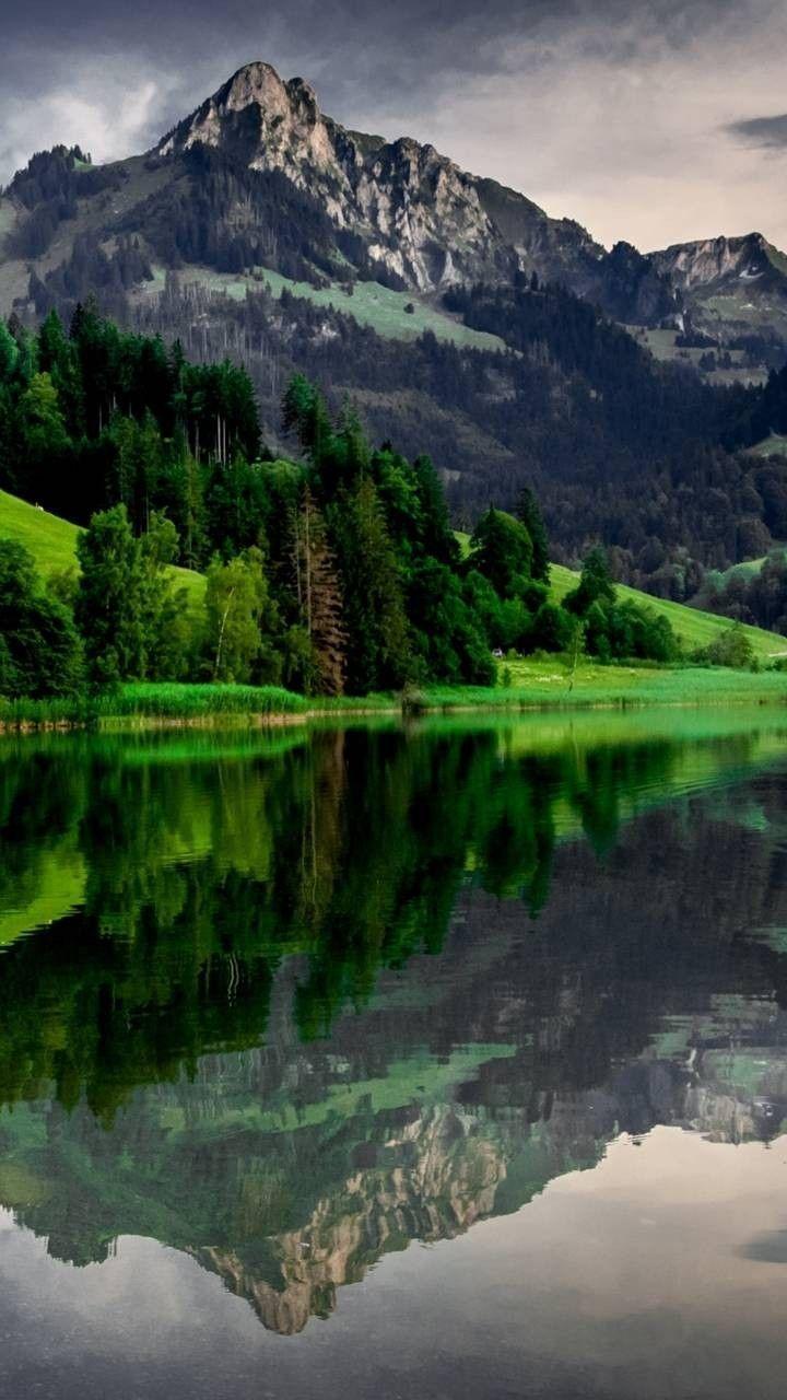 Phone Nature Wallpapers Top Free Phone Nature Backgrounds