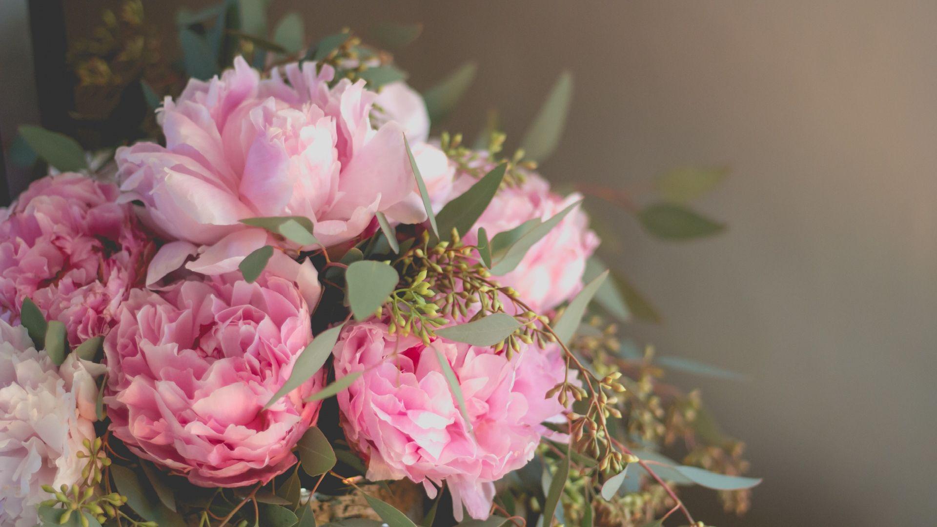 Peonies HD Wallpapers Top Free Peonies HD Backgrounds WallpaperAccess