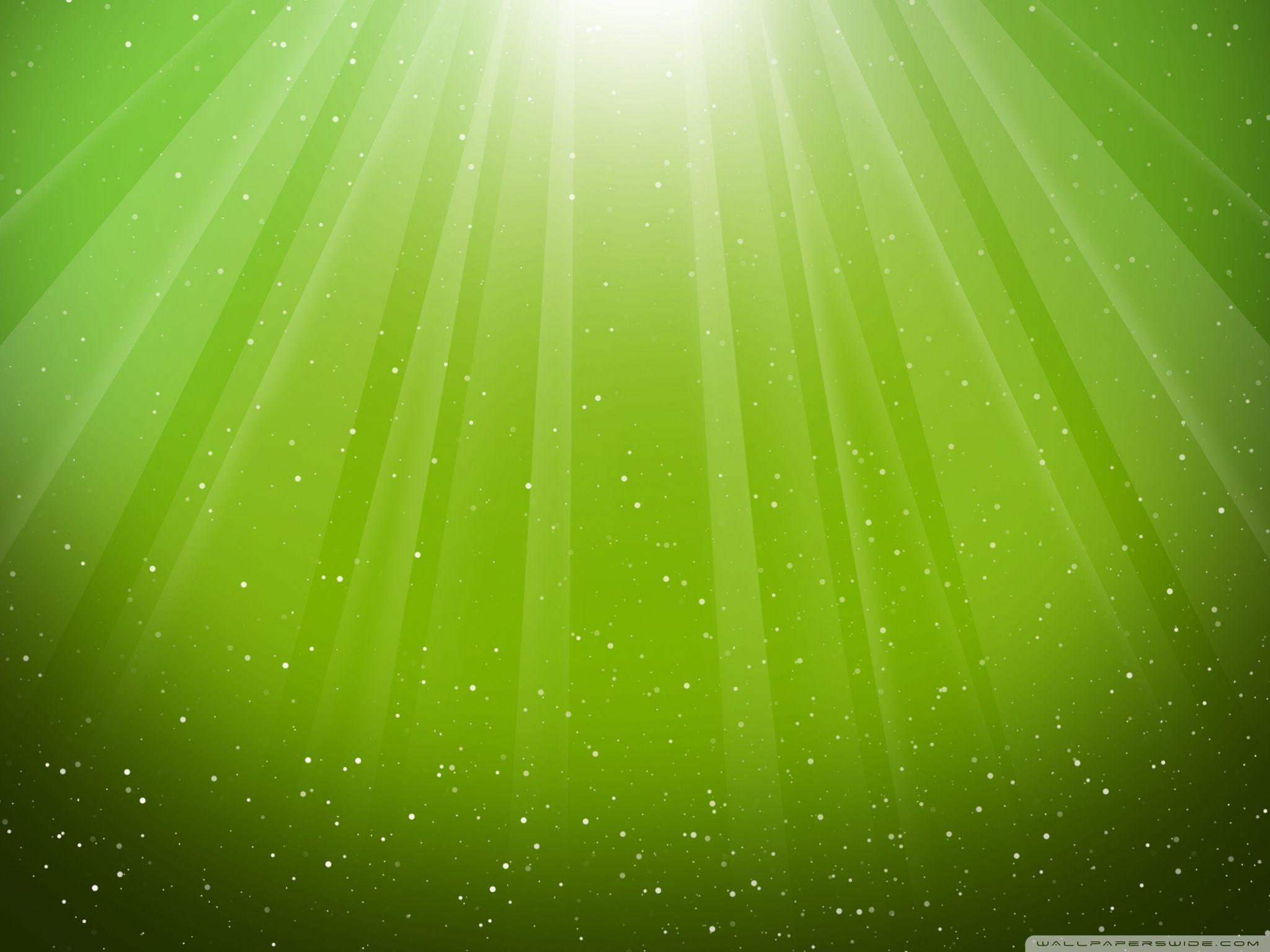 Bright Green Wallpapers Top Free Bright Green Backgrounds