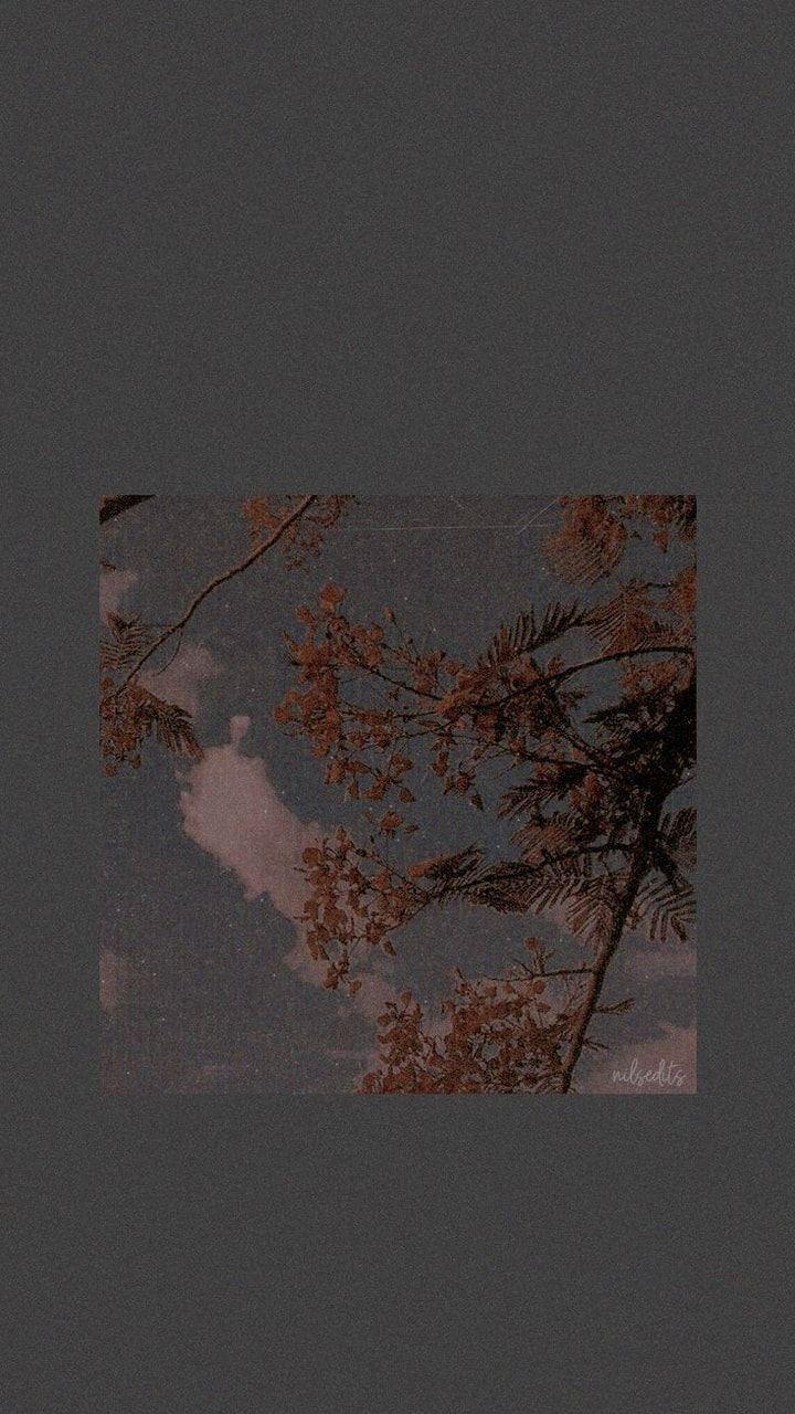 Gray Aesthetic Tumblr Wallpapers Top Free Gray Aesthetic Tumblr