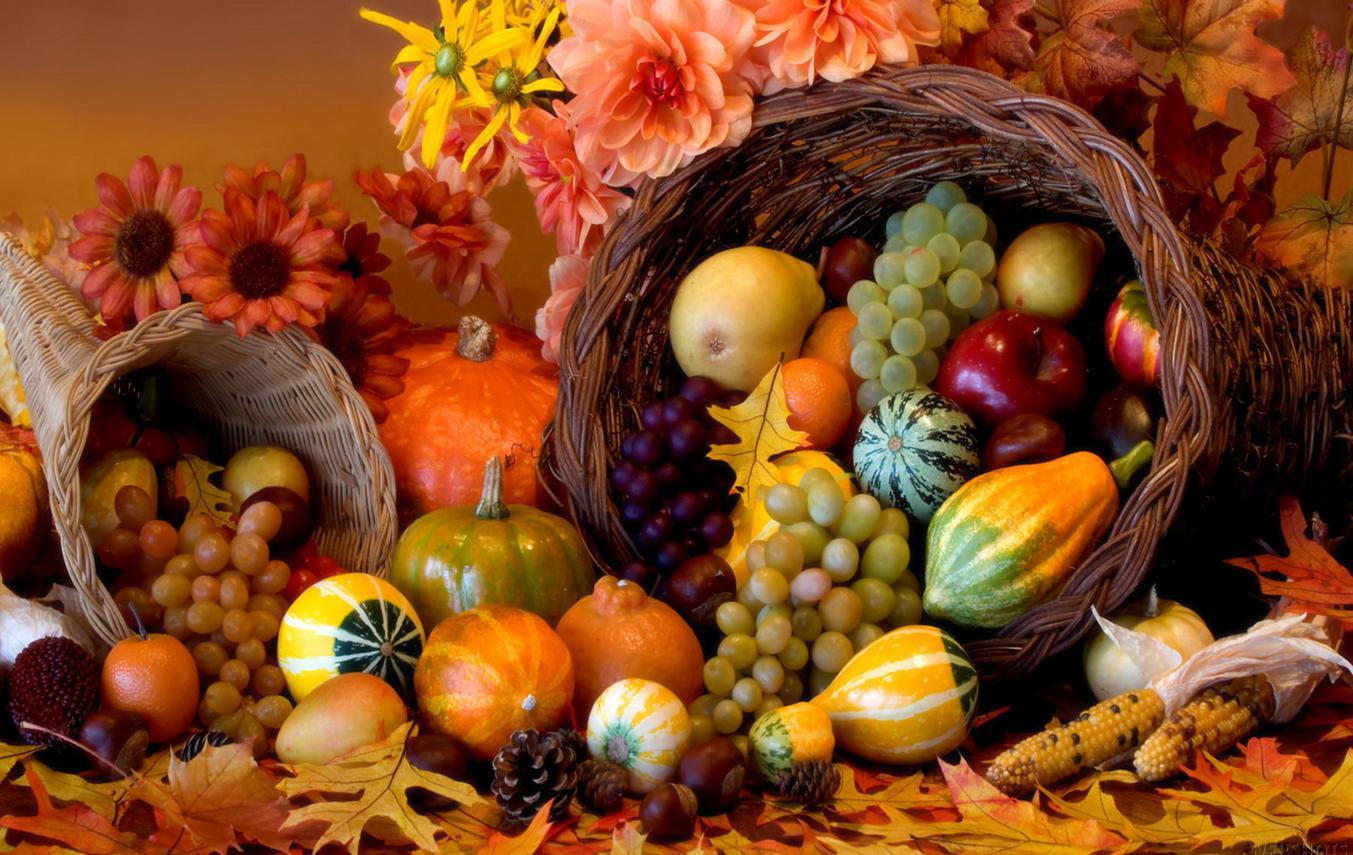 Cornucopia Wallpapers Top Free Cornucopia Backgrounds WallpaperAccess