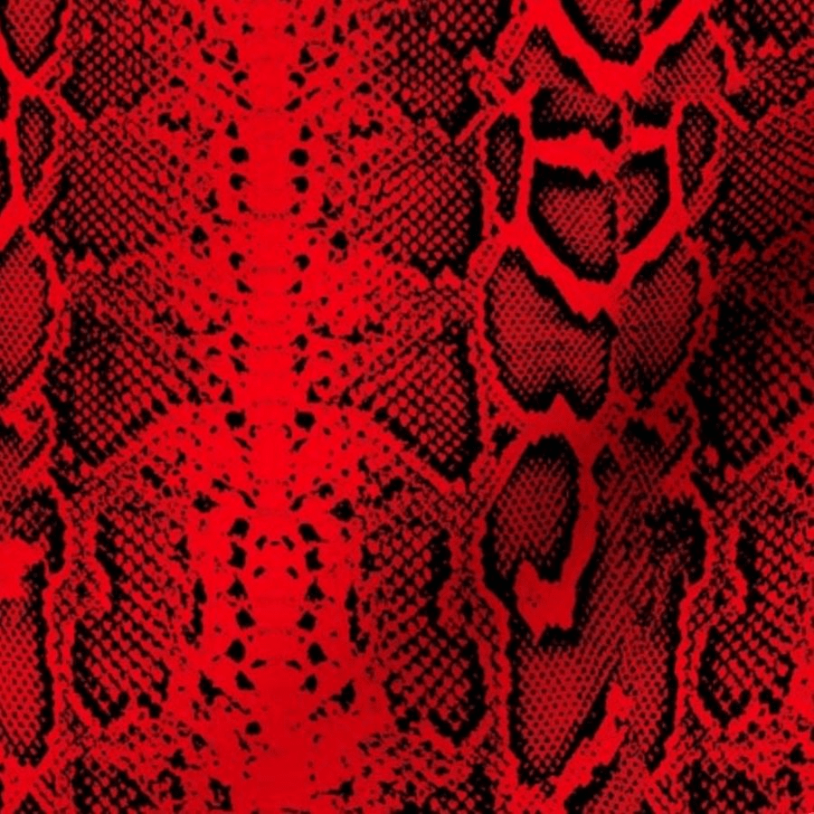 Snake Print Wallpapers Top Free Snake Print Backgrounds WallpaperAccess