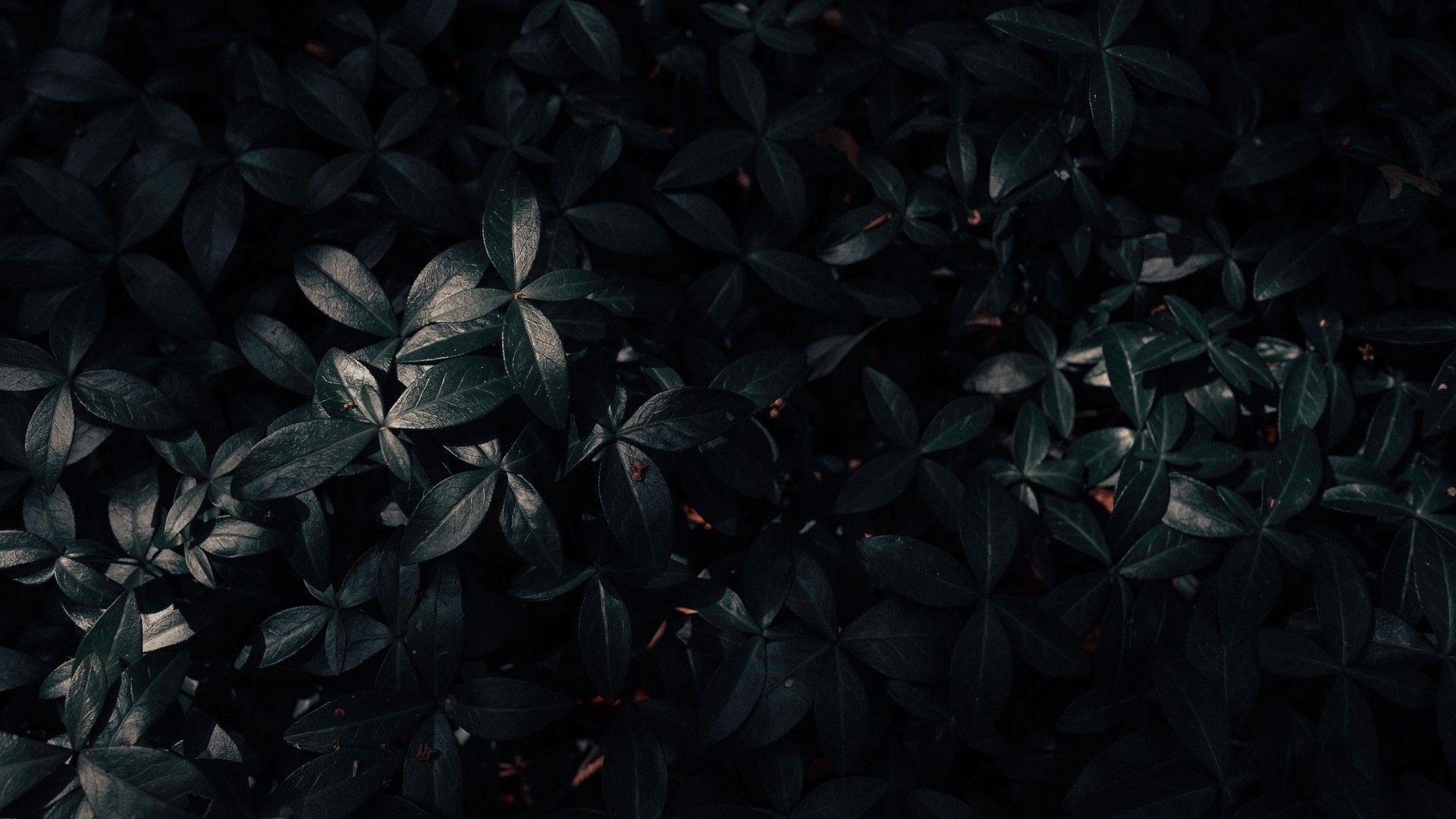 Dark Aesthetic HD Wallpapers Top Nh???ng H??nh ???nh ?????p