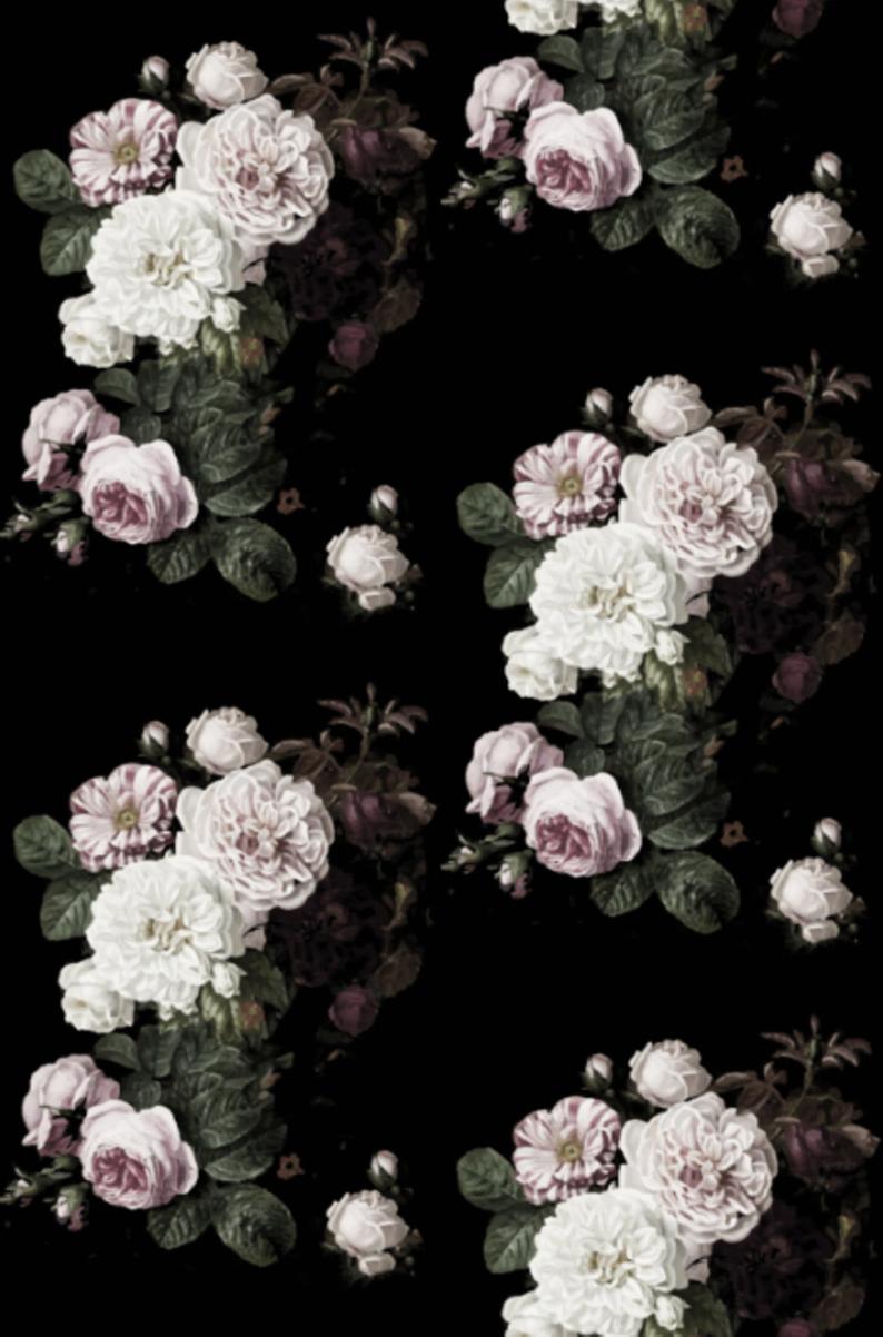 Black and Pink Floral Wallpapers Top Free Black and Pink Floral