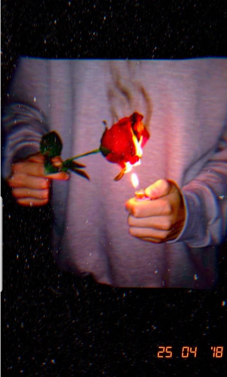 Burning Rose Wallpapers Top Free Burning Rose Backgrounds