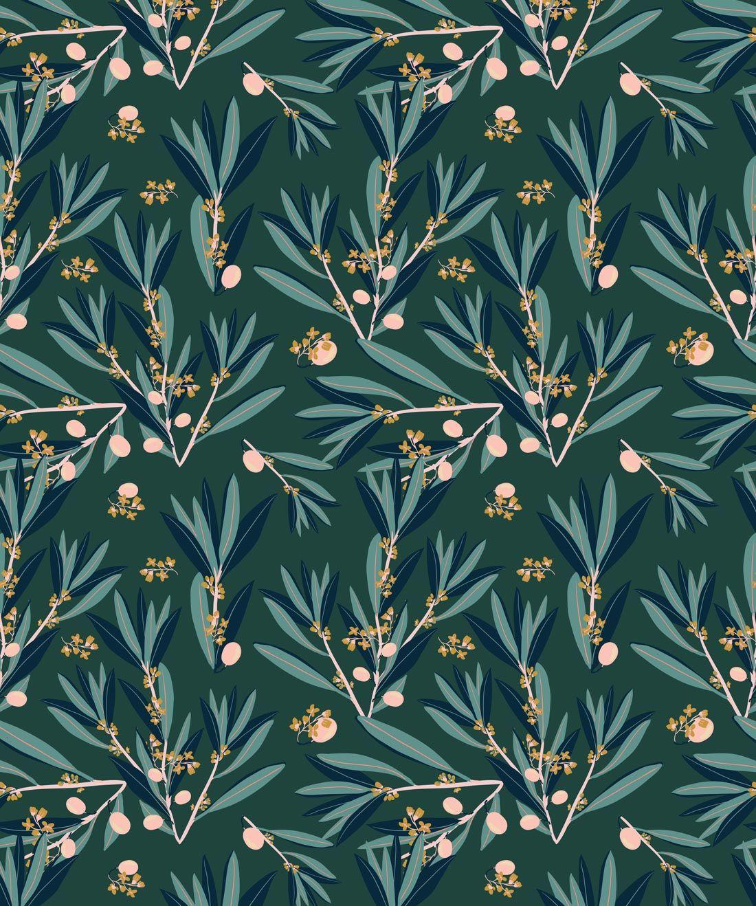 Olive Wallpapers Top Free Olive Backgrounds WallpaperAccess