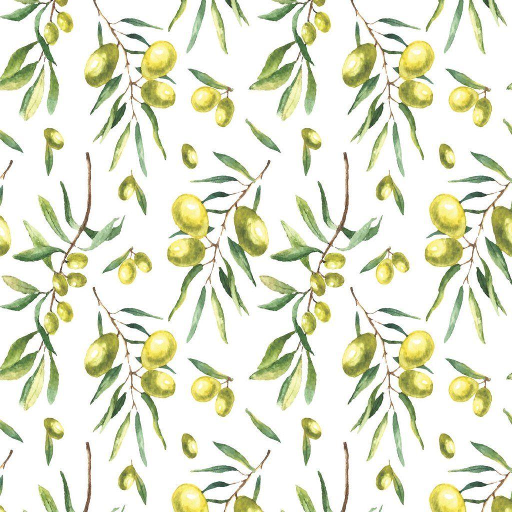 Olive Wallpapers Top Free Olive Backgrounds WallpaperAccess