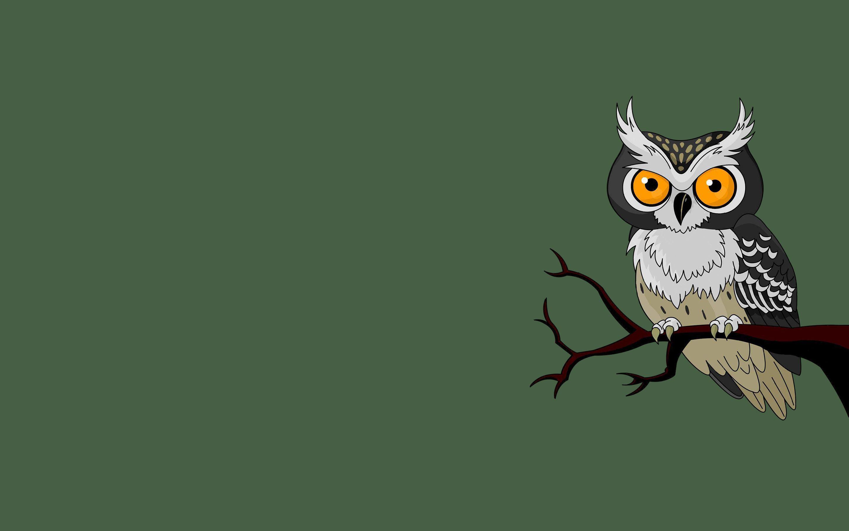 Owl Minimalist Wallpapers Top Free Owl Minimalist Backgrounds