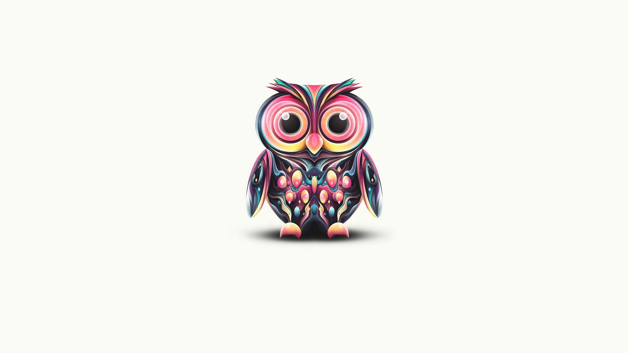 Owl Minimalist Wallpapers Top Free Owl Minimalist Backgrounds