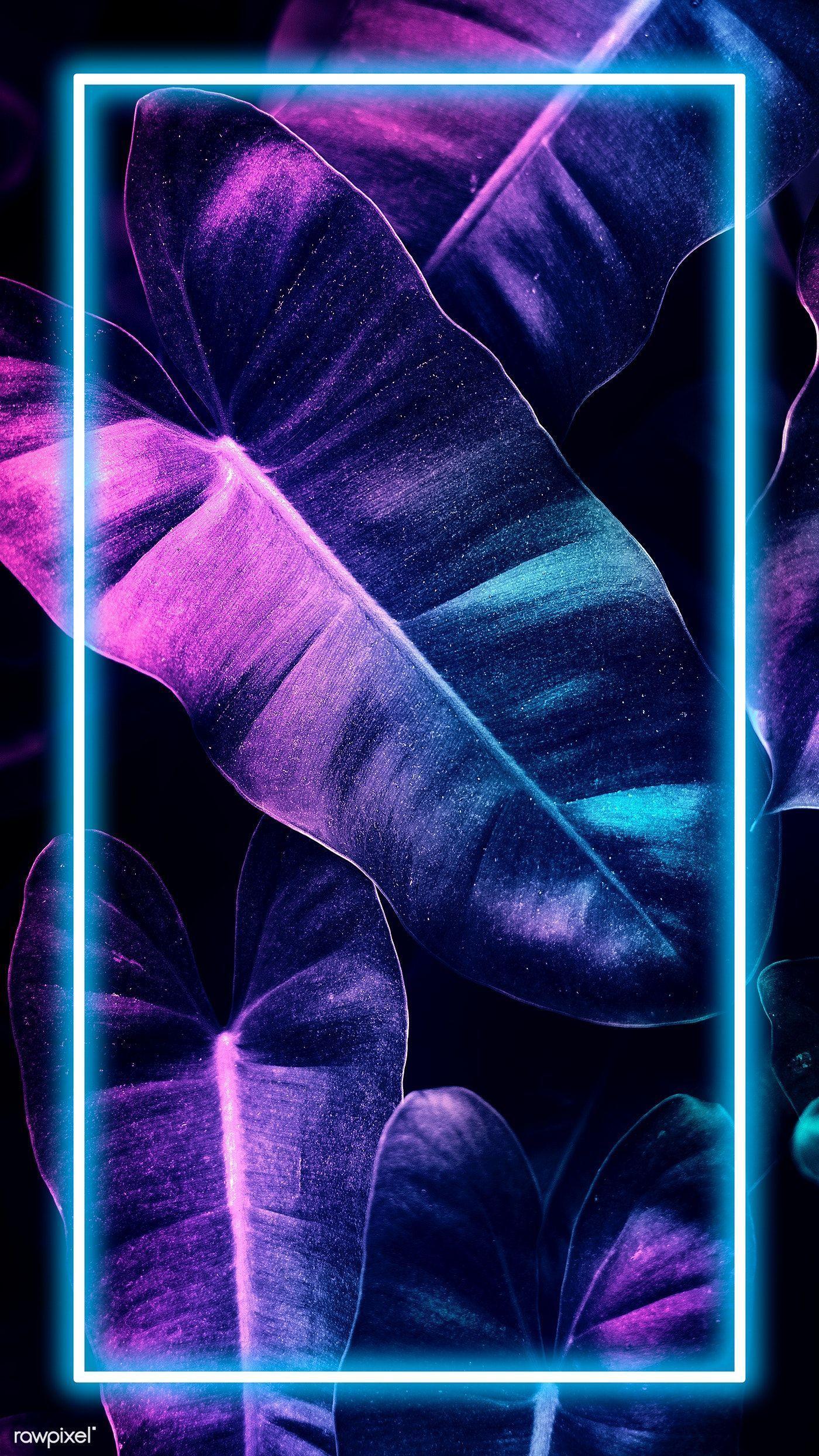 Neon 4K Phone Wallpapers Top Free Neon 4K Phone Backgrounds