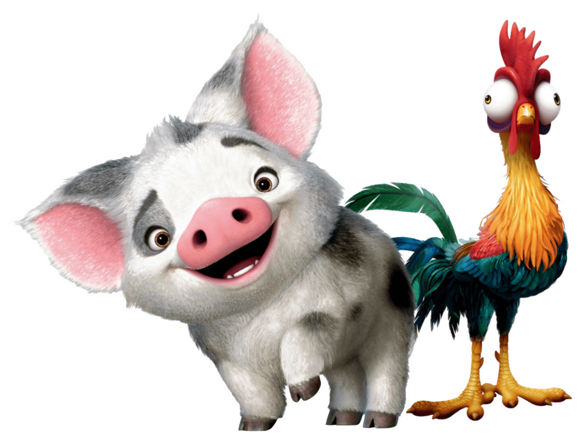 Pua Personaje De Pelicula Moana Colorea Tus Dibujos vrogue.co