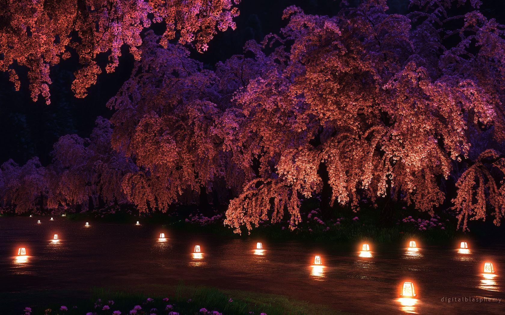Cherry Blossom Tree at Night Wallpapers Top Free Cherry Blossom Tree
