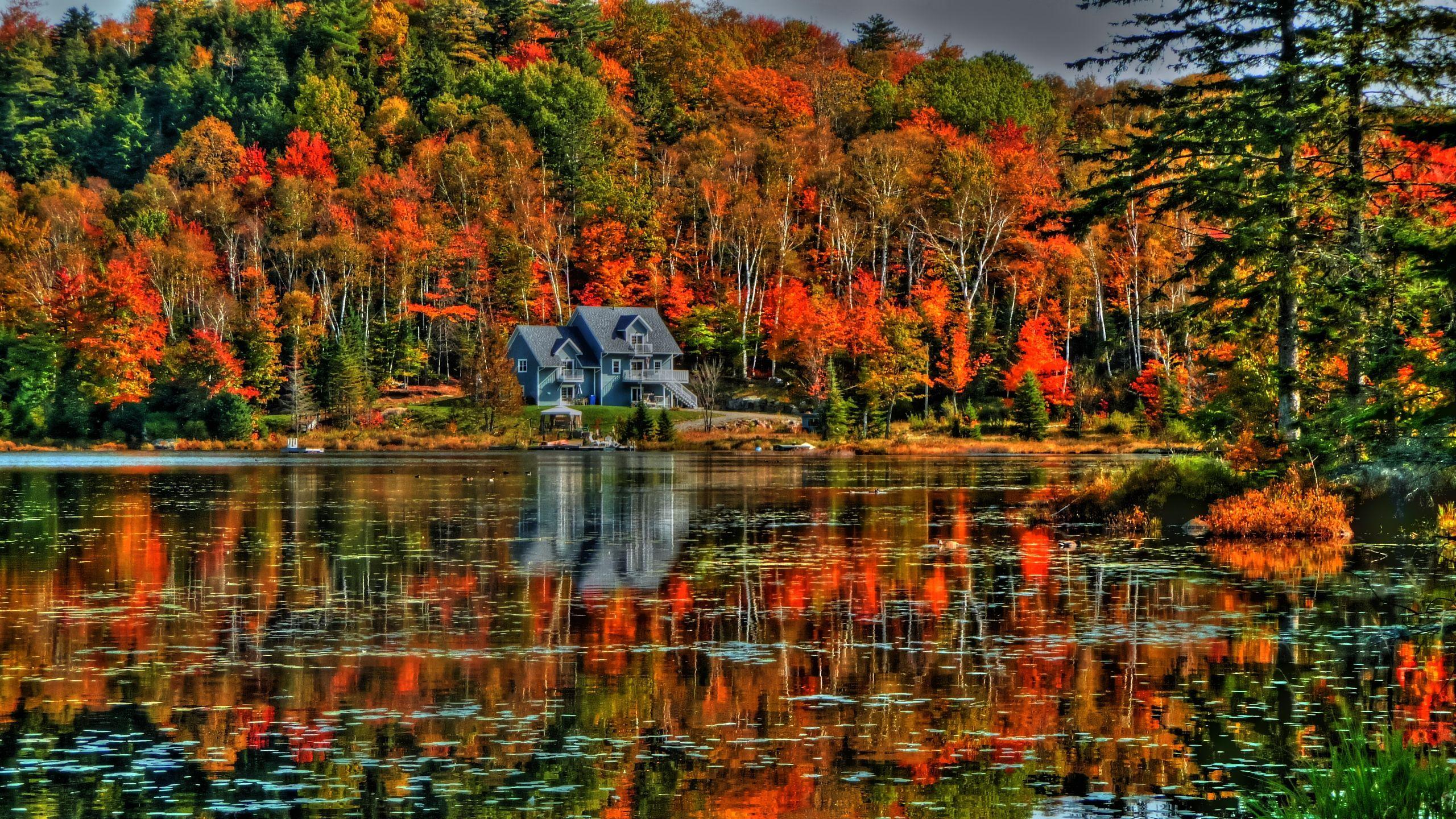 300 Dpi Wallpapers Top Free 300 Dpi Backgrounds WallpaperAccess