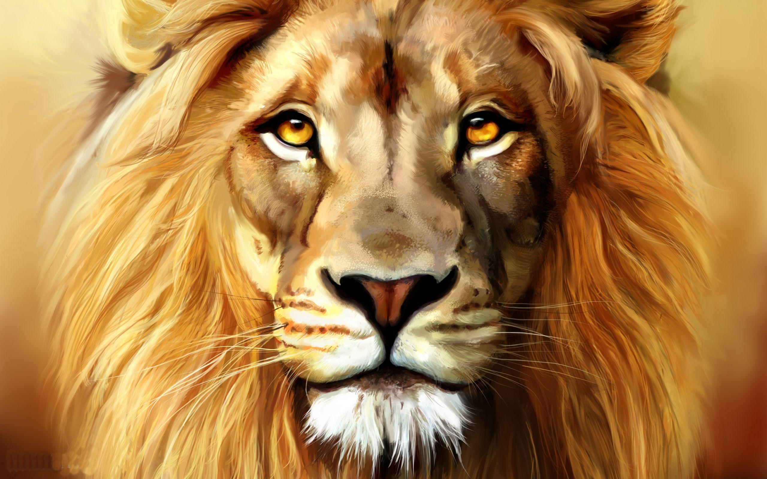Lion Head Wallpapers Top Free Lion Head Backgrounds WallpaperAccess