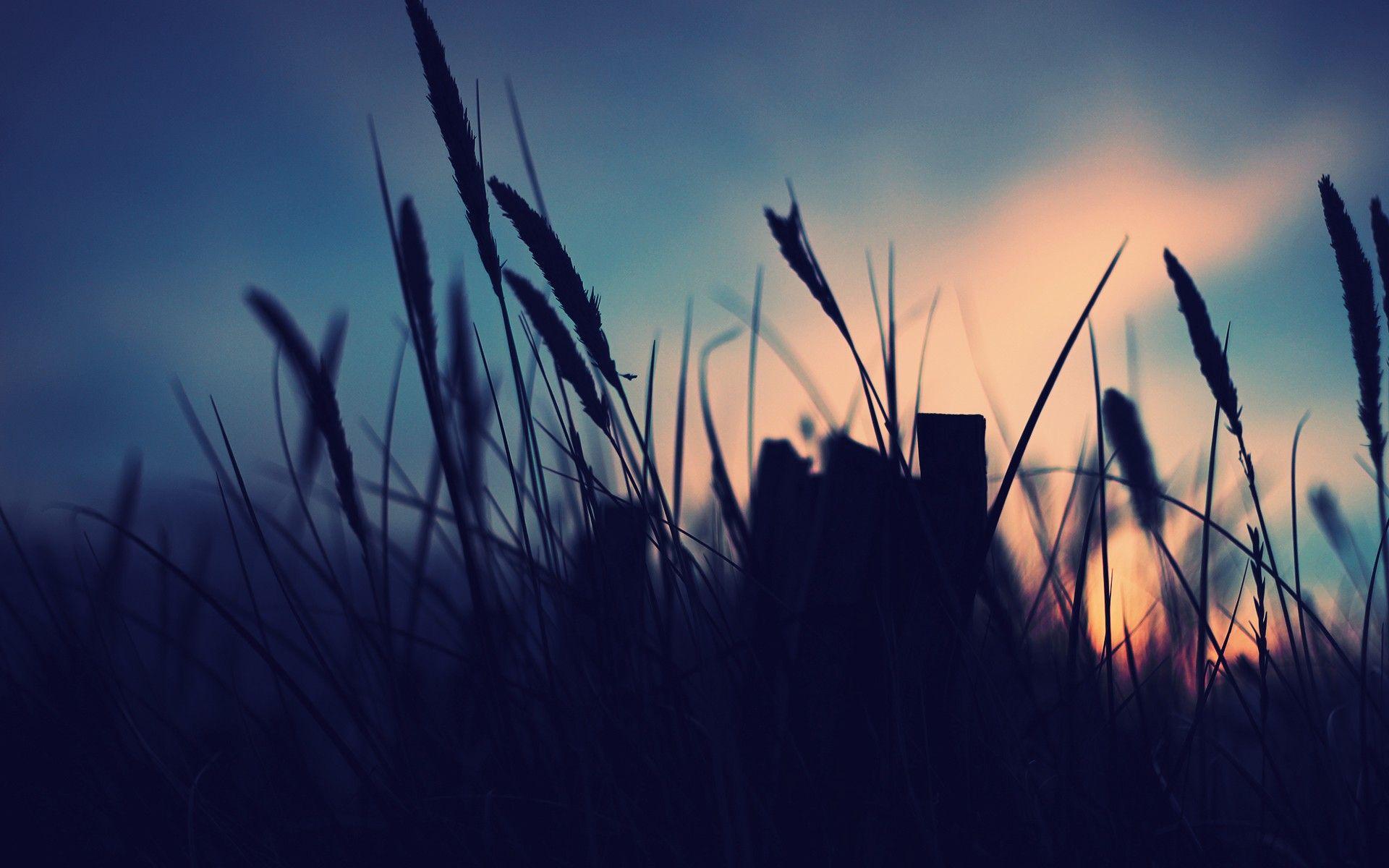 November Wallpapers Top Free November Backgrounds Wallpaperaccess