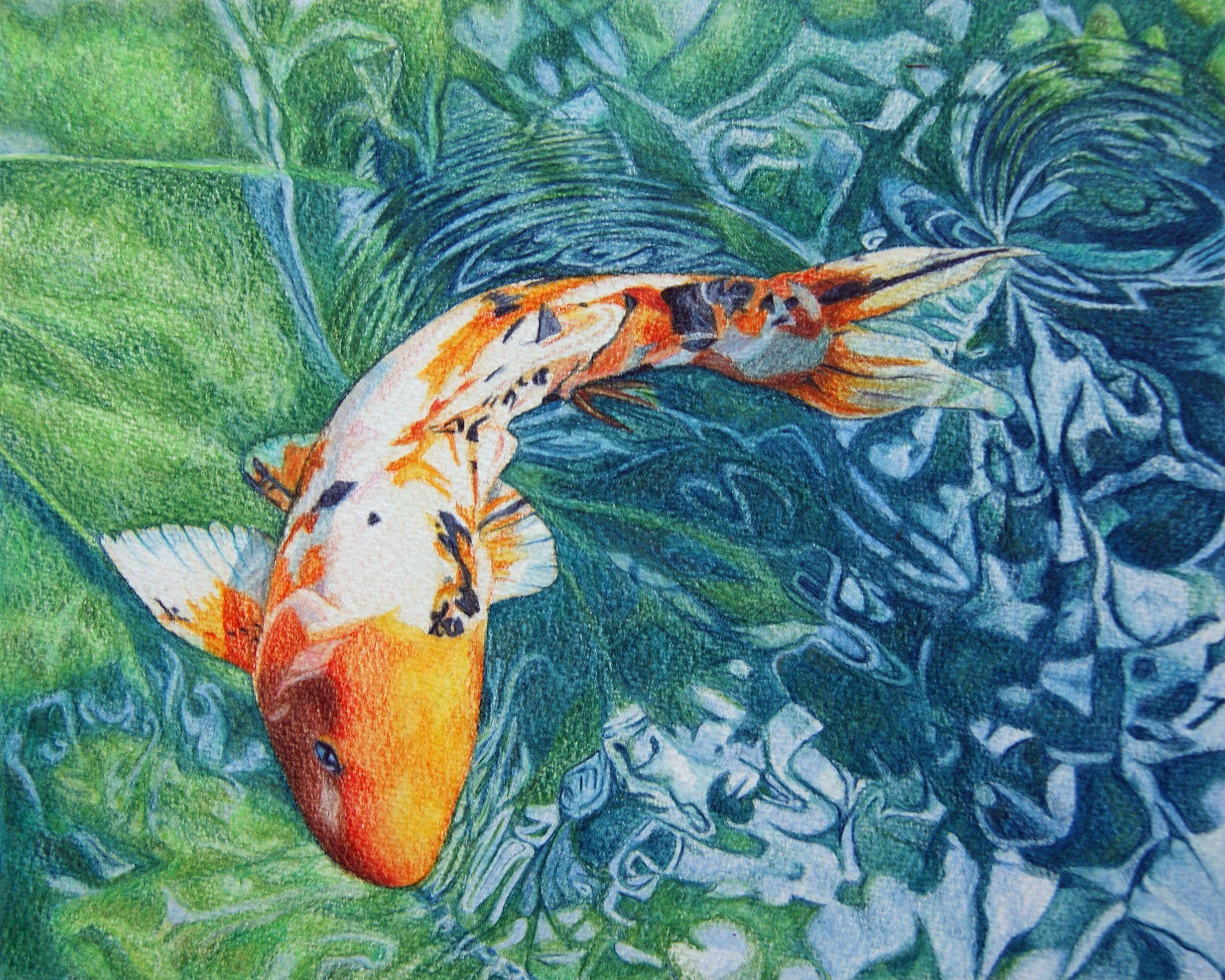 Japanese Koi Fish Art Wallpapers Top Free Japanese Koi Fish Art